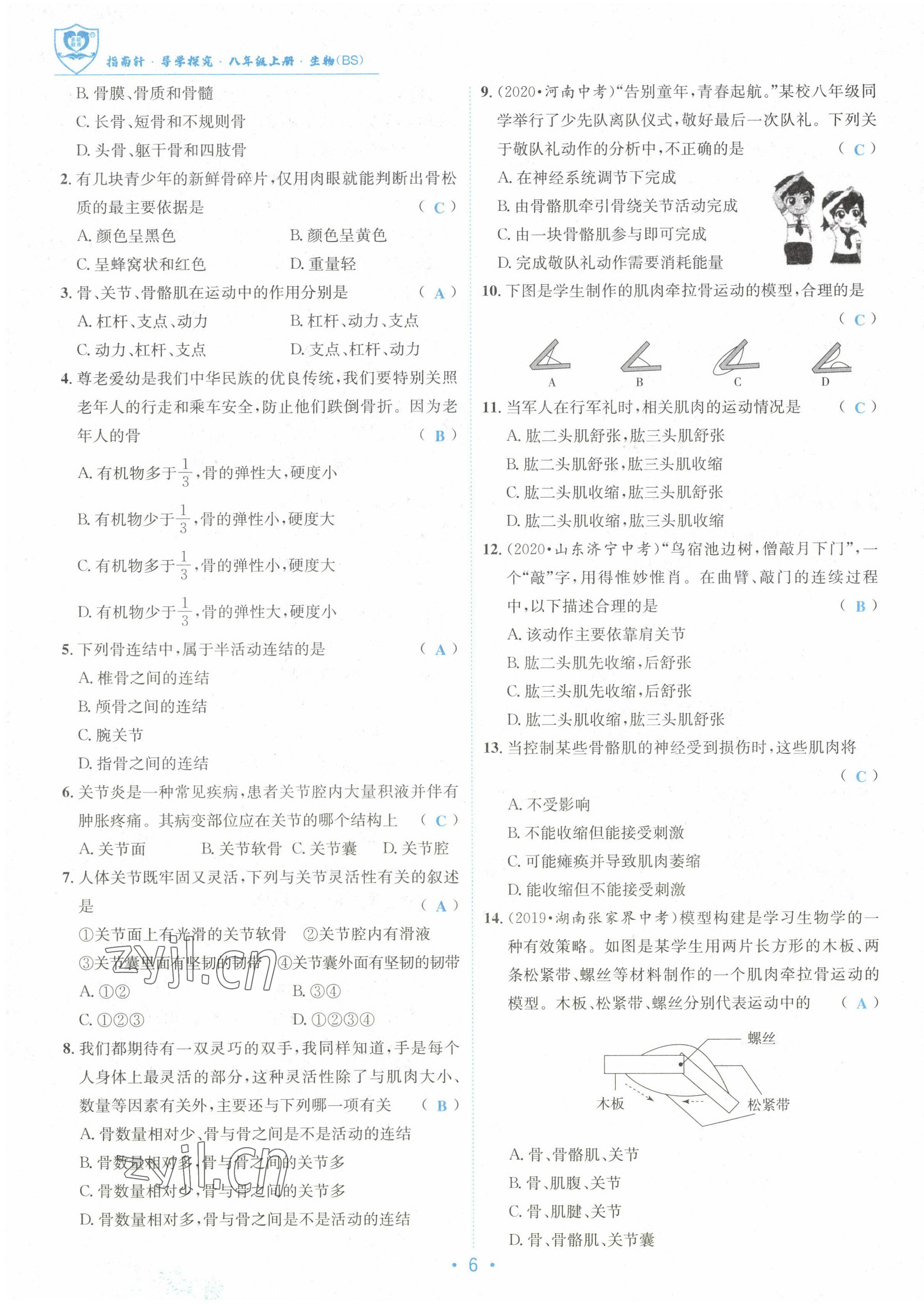 2022年指南针课堂优化八年级生物上册北师大版 参考答案第6页