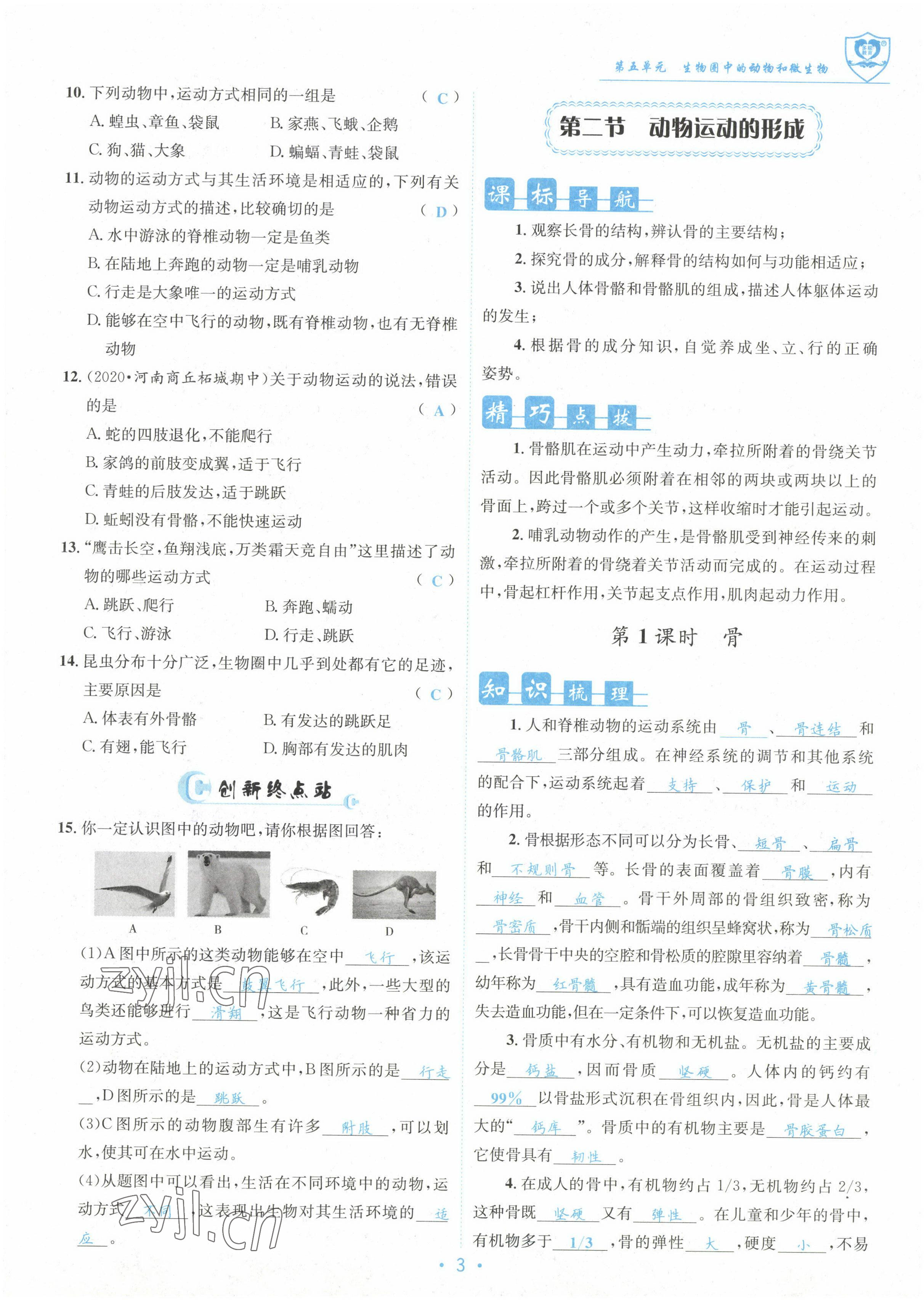 2022年指南针课堂优化八年级生物上册北师大版 参考答案第3页