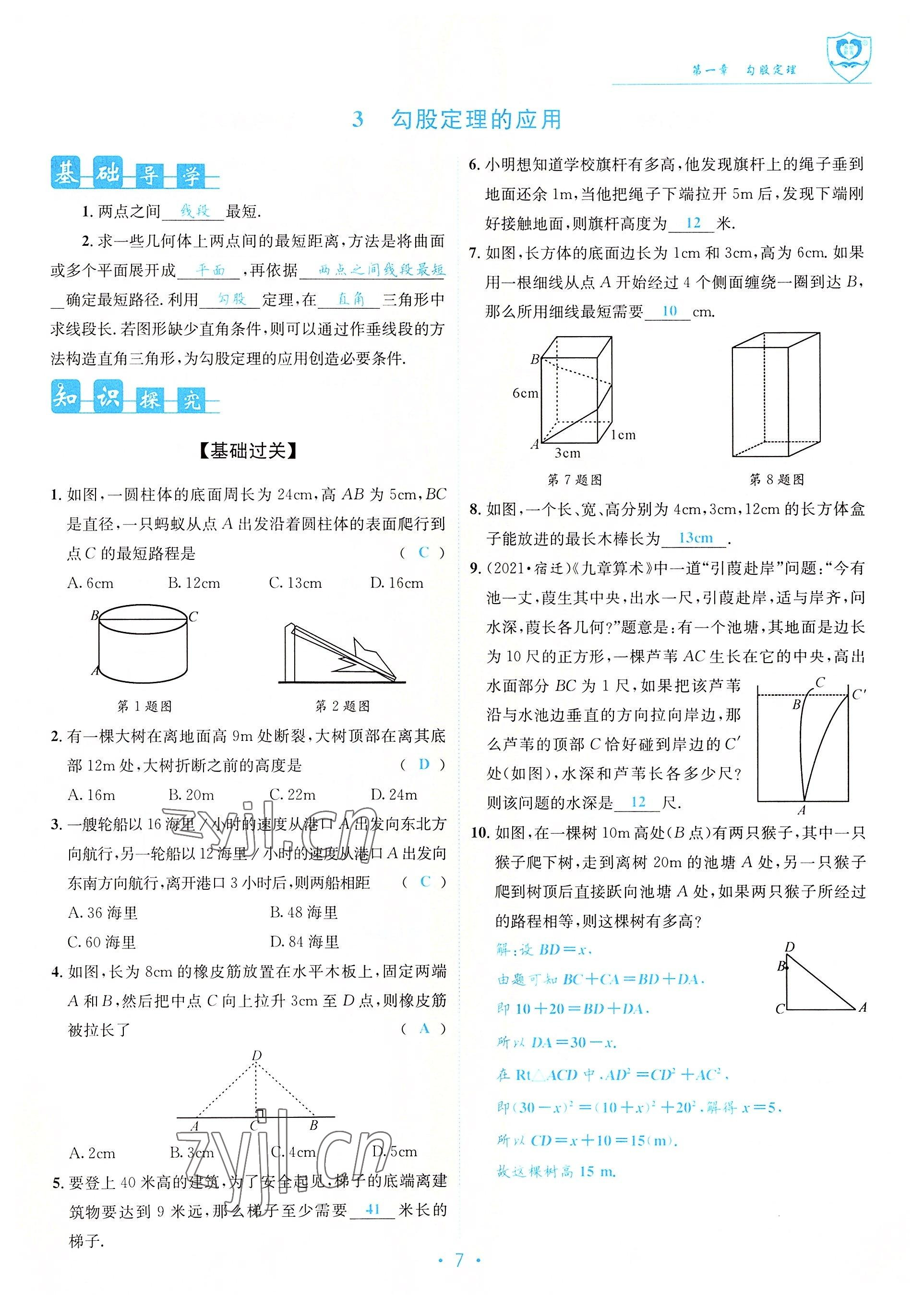 2022年指南针课堂优化八年级数学上册北师大版 参考答案第7页