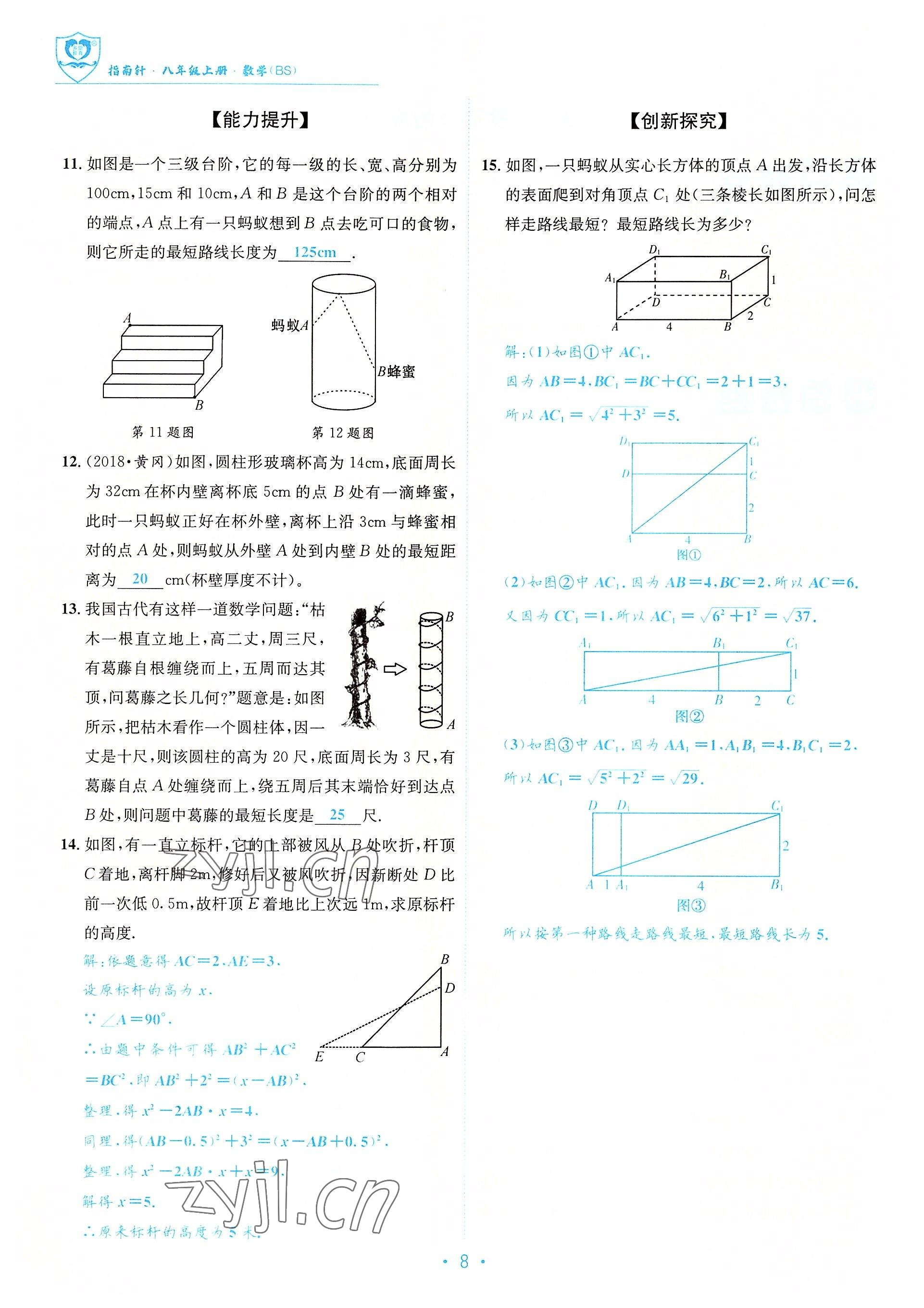 2022年指南针课堂优化八年级数学上册北师大版 参考答案第8页