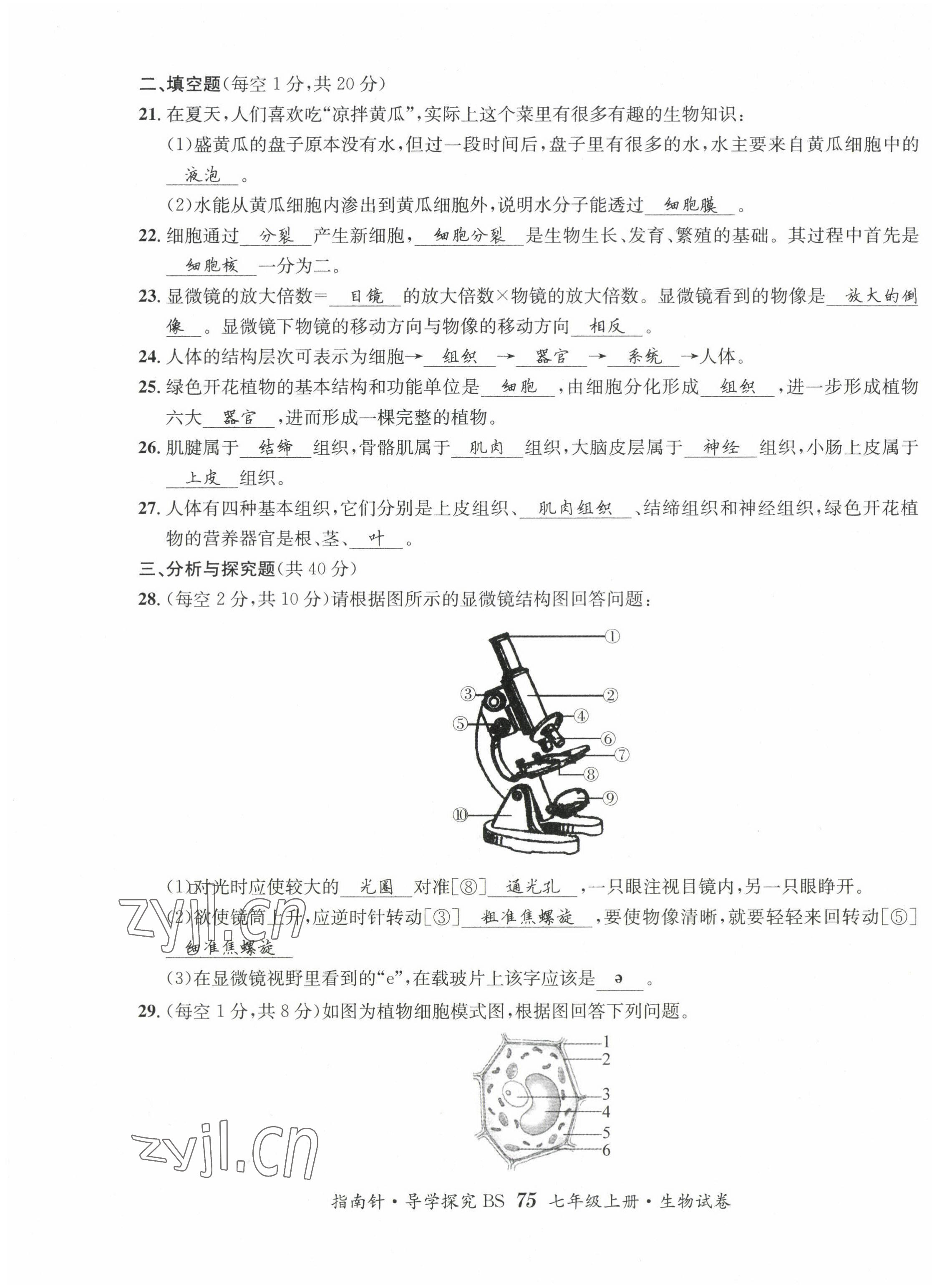 2022年指南针课堂优化七年级生物上册北师大版 第7页