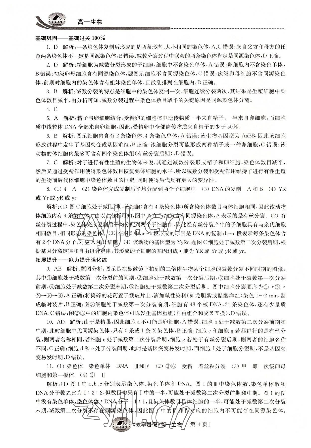 2022年效率暑假江苏人民出版社高一生物通用版 参考答案第4页
