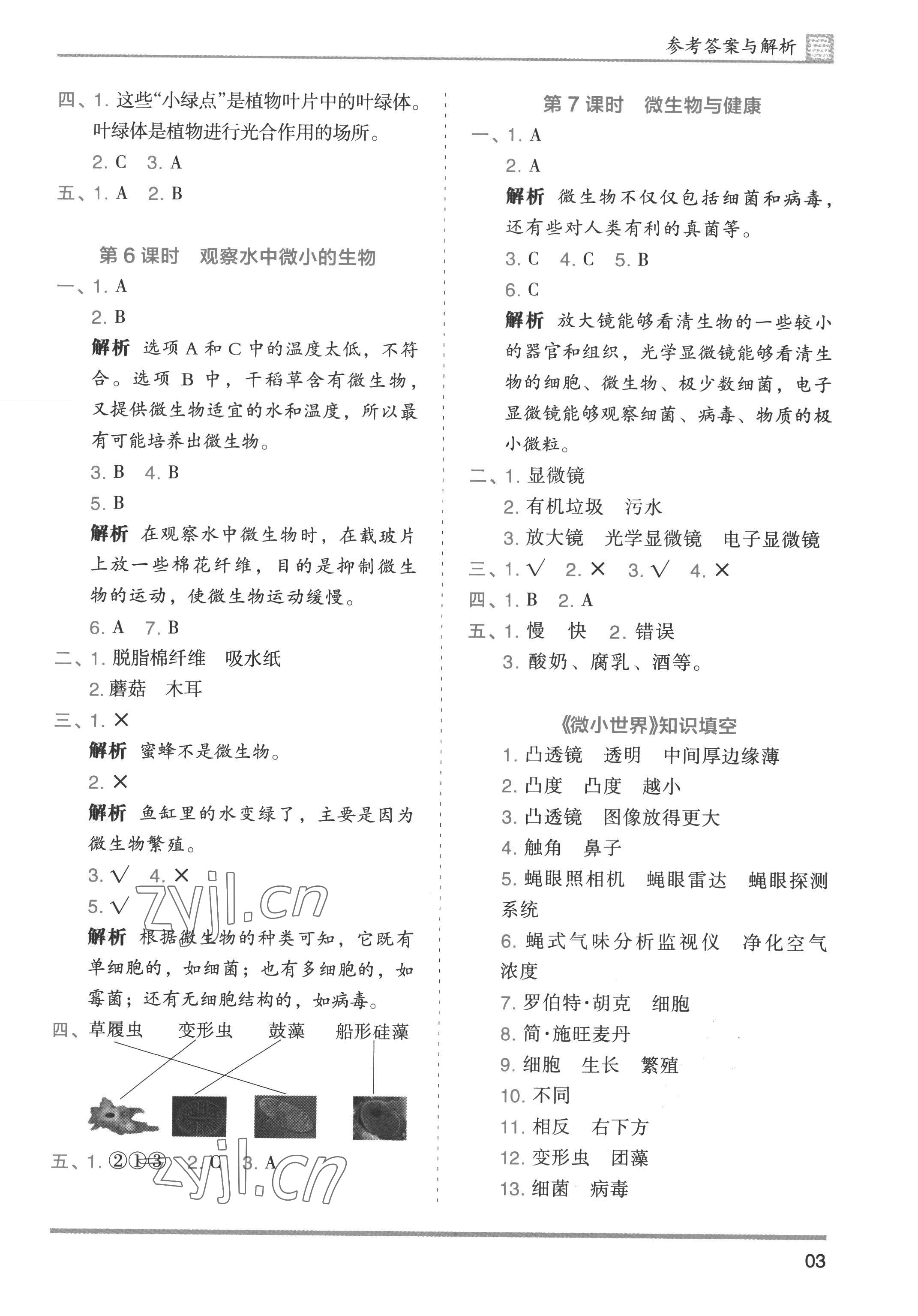 2022年木頭馬分層課課練六年級(jí)科學(xué)上冊(cè)教科版 第3頁