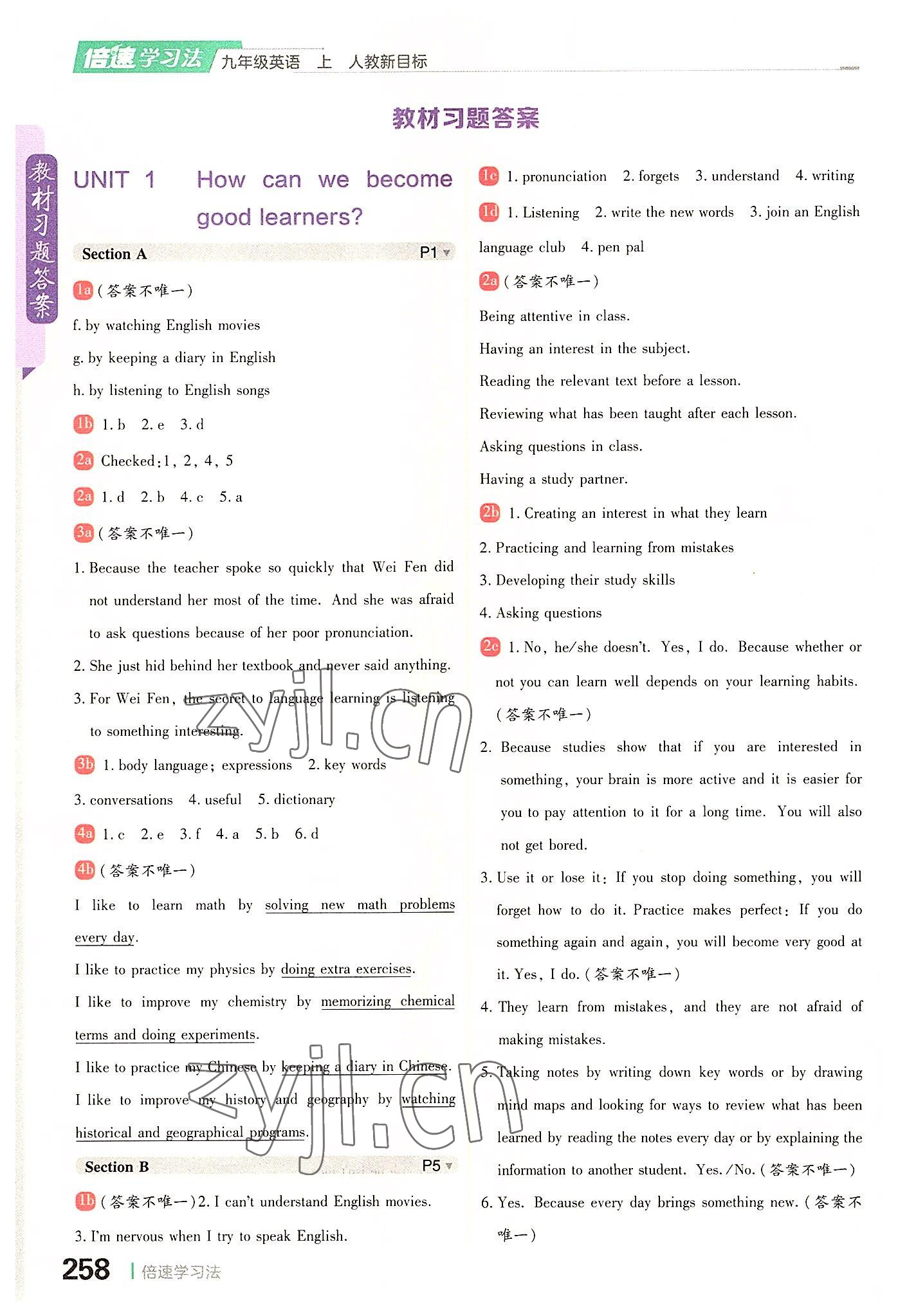 2022年倍速學習法九年級英語上冊人教版 第4頁