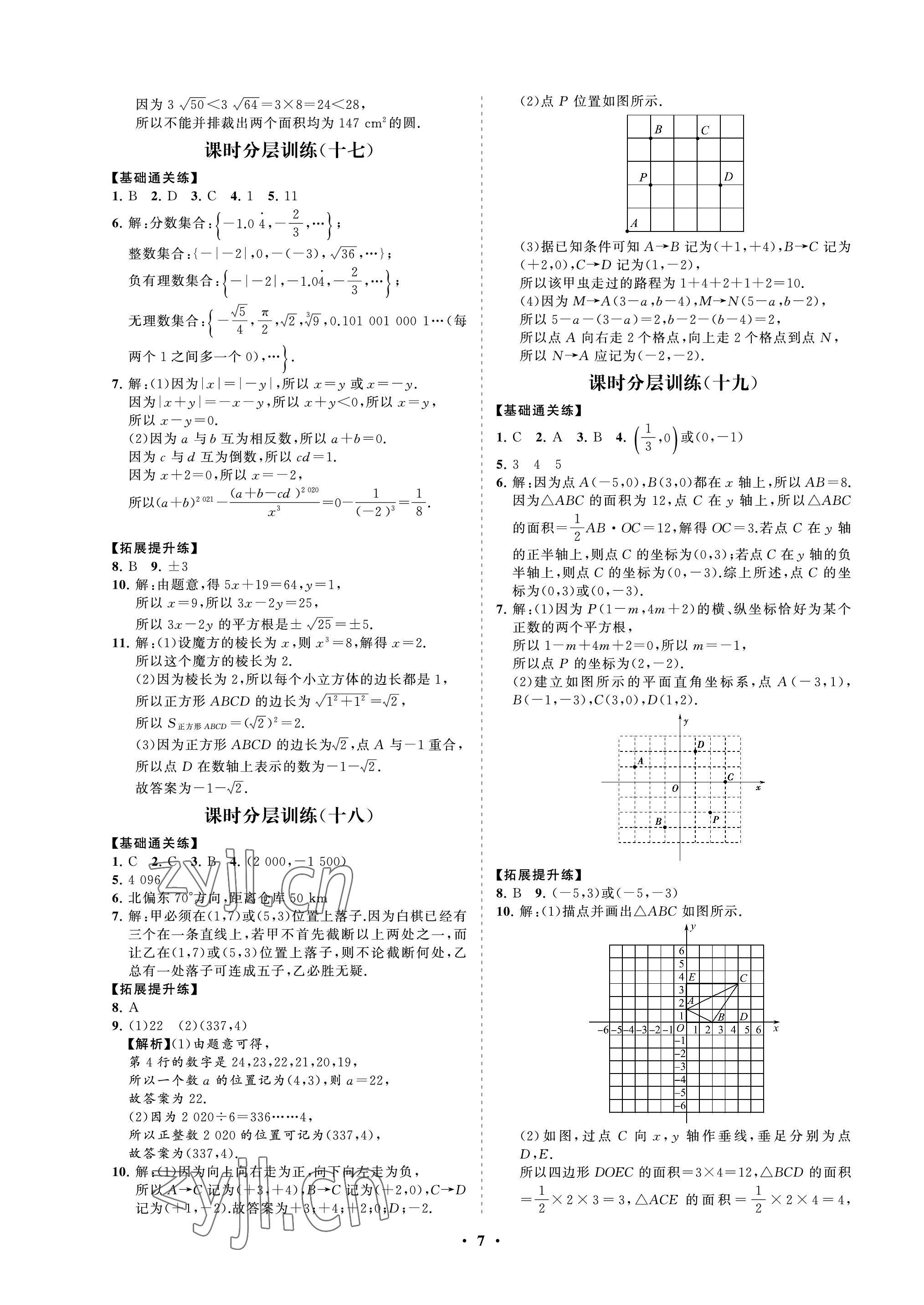 2022年同步练习册分层卷七年级数学上册鲁教版54制 参考答案第7页