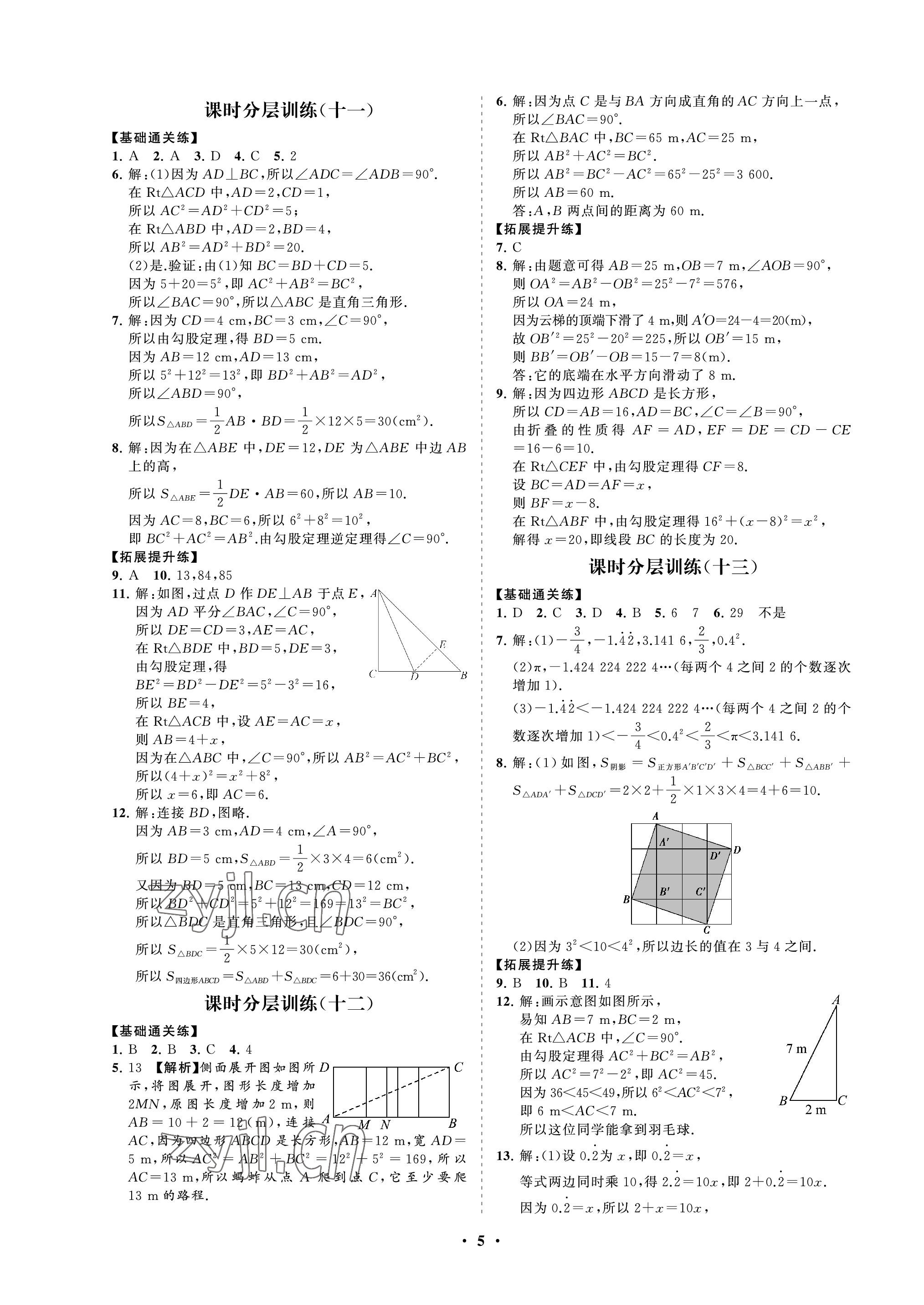 2022年同步练习册分层卷七年级数学上册鲁教版54制 参考答案第5页