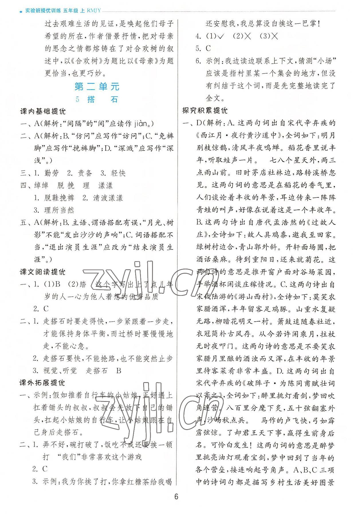 2022年實(shí)驗(yàn)班提優(yōu)訓(xùn)練五年級(jí)語(yǔ)文上冊(cè)人教版 第6頁(yè)