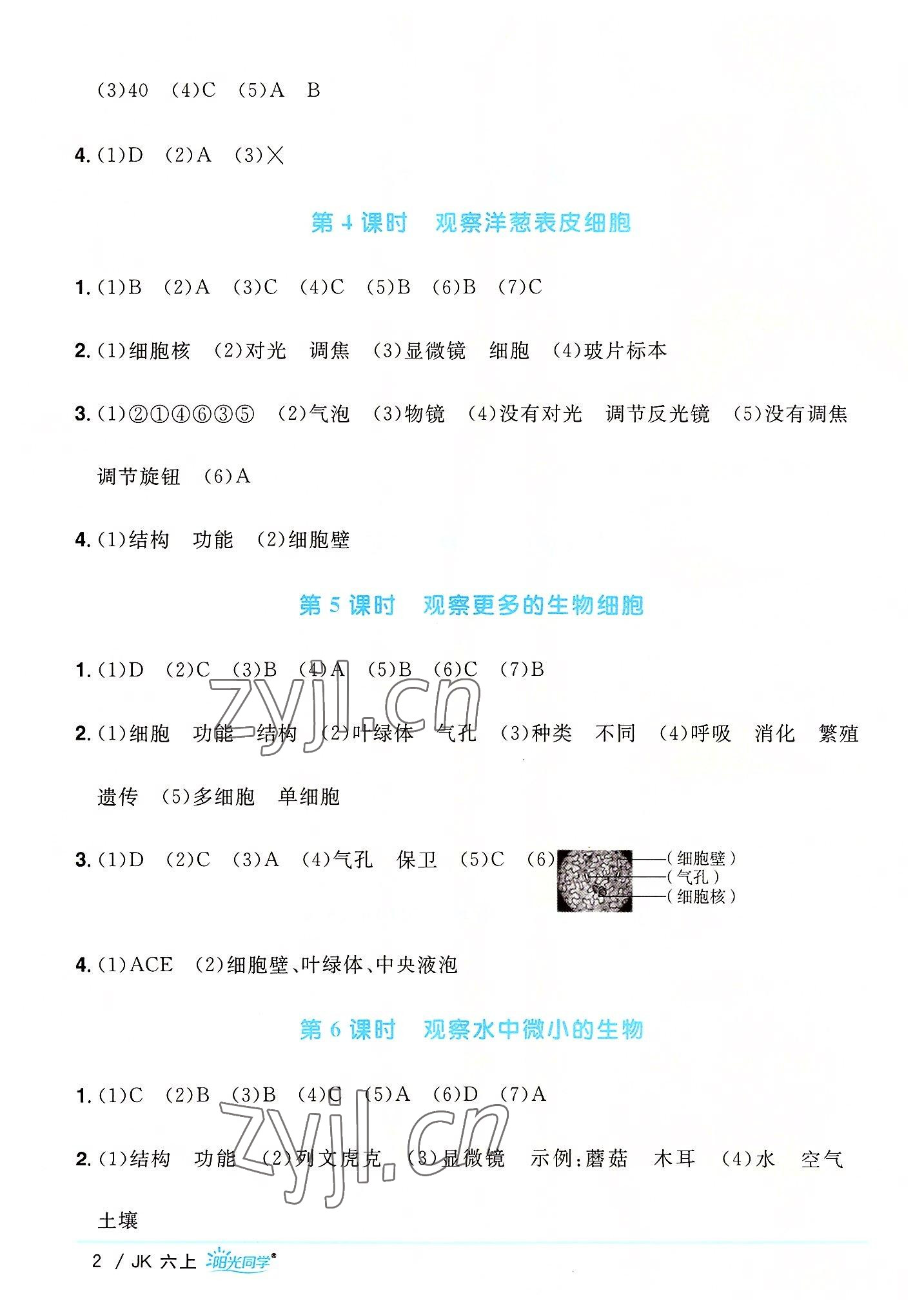 2022年阳光同学课时优化作业六年级科学上册教科版 第2页