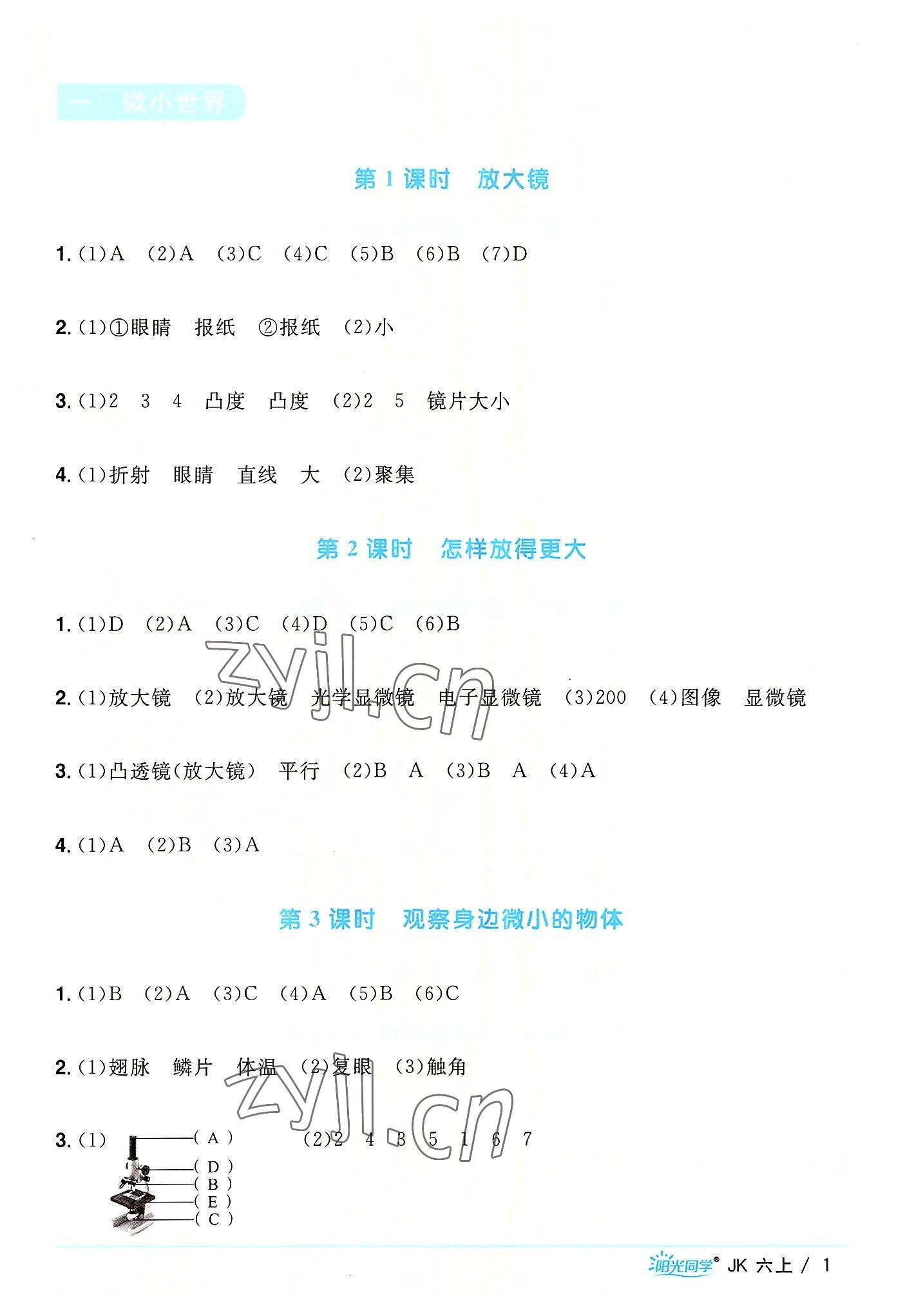 2022年阳光同学课时优化作业六年级科学上册教科版 第1页