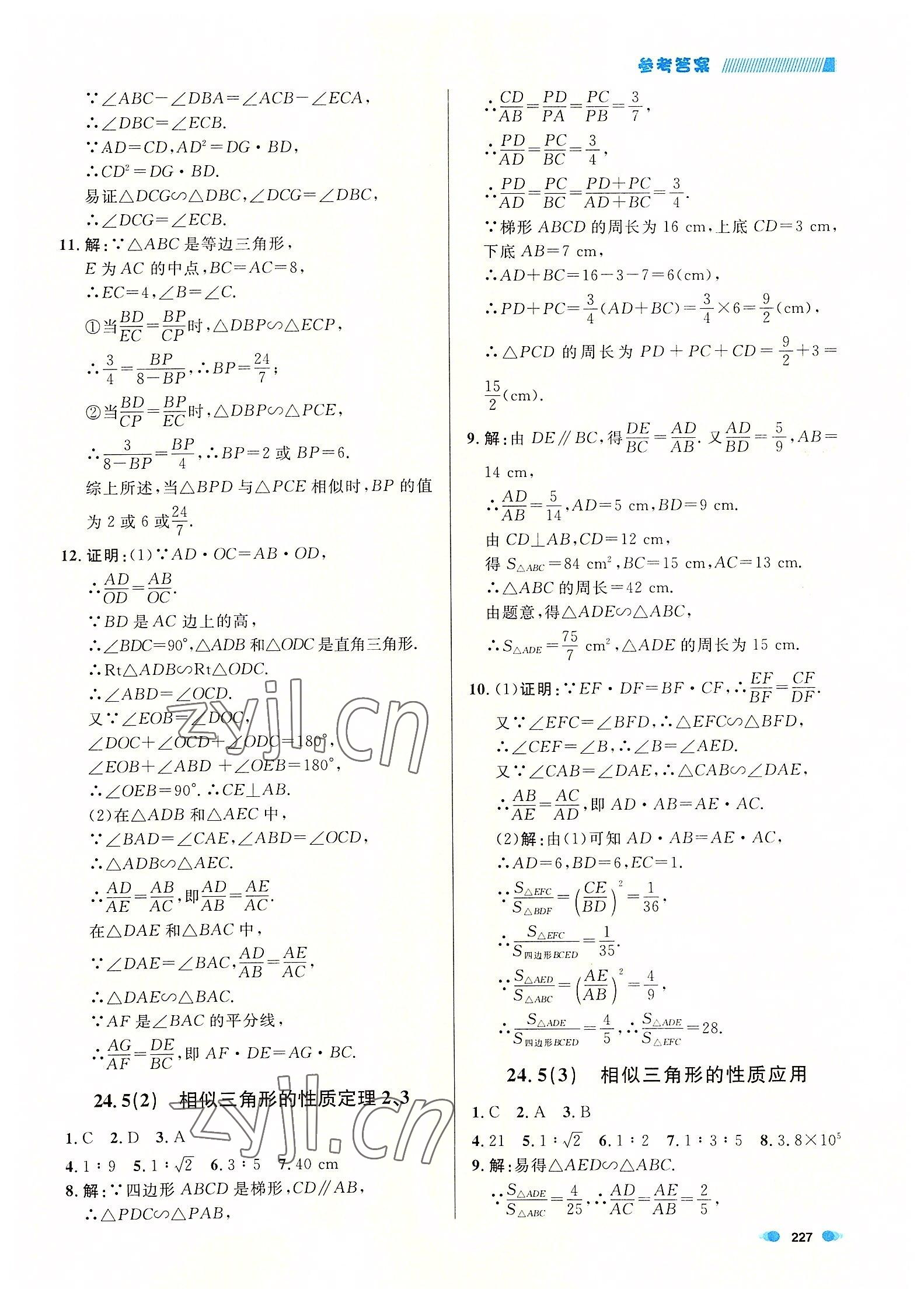 2022年上海作业九年级数学全一册沪教版54制 第7页