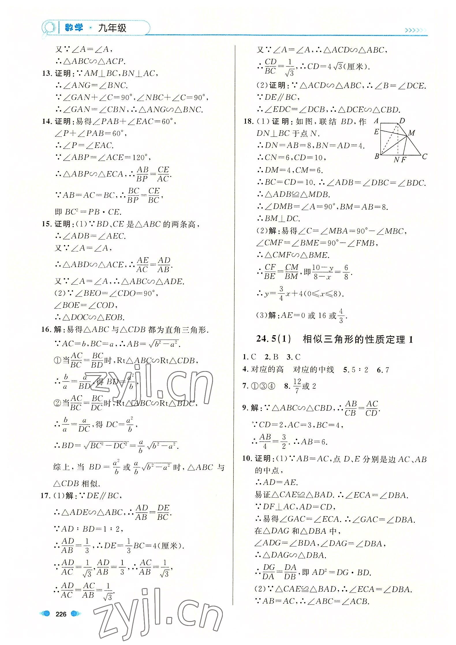 2022年上海作业九年级数学全一册沪教版54制 第6页
