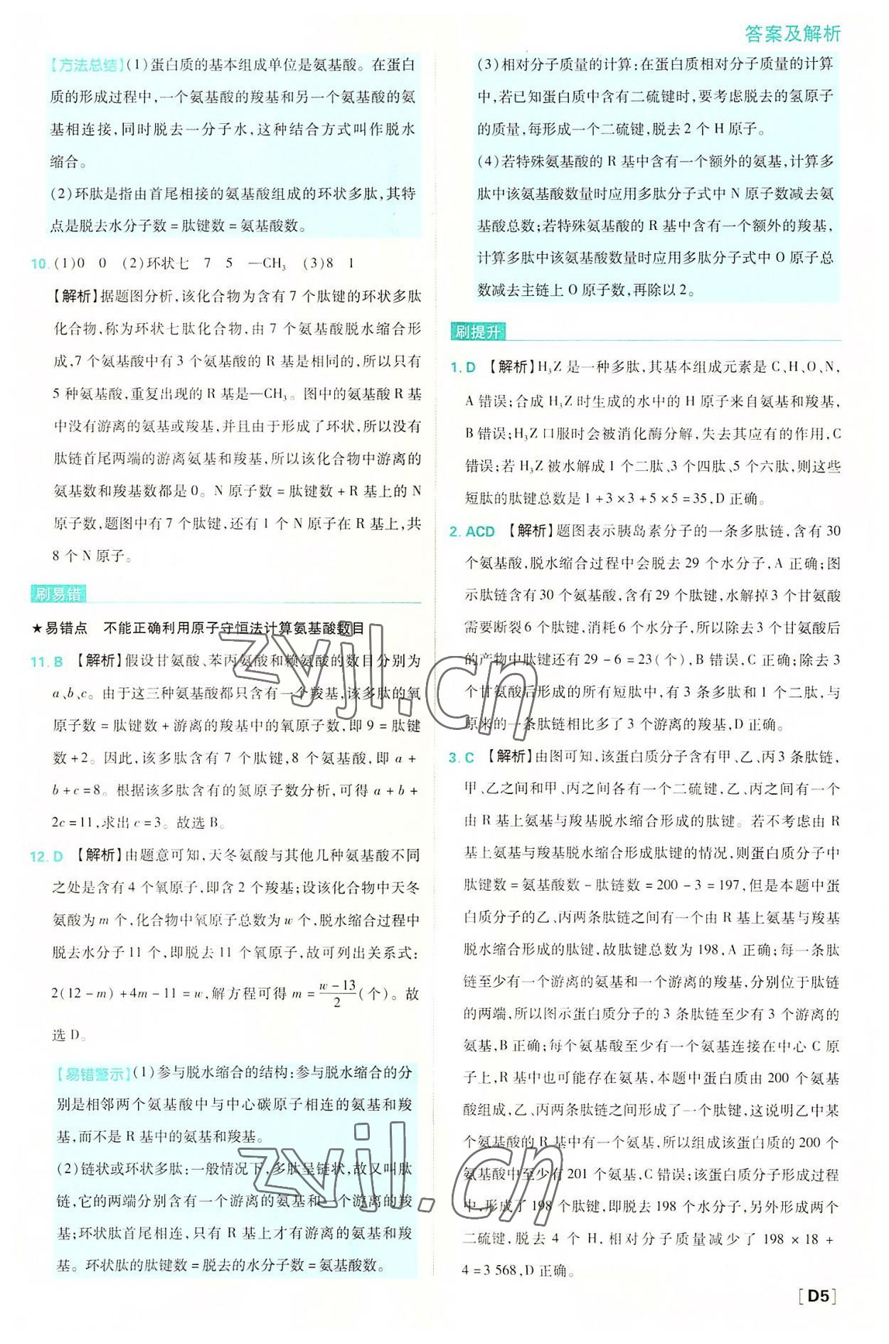 2022年高中必刷題高中生物必修1分子與細胞蘇教版 第5頁