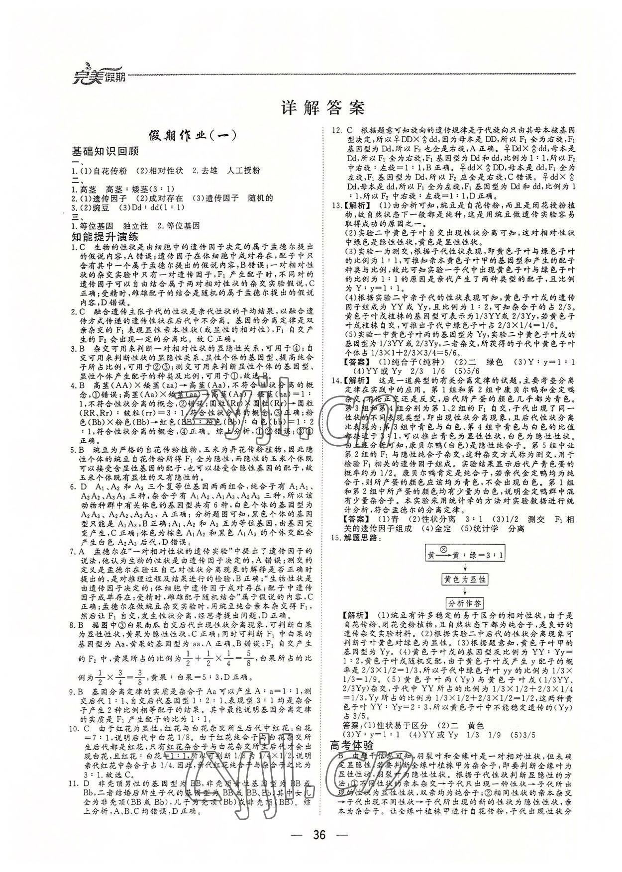 2022年完美假期假期自主学习训练高一生物 参考答案第1页