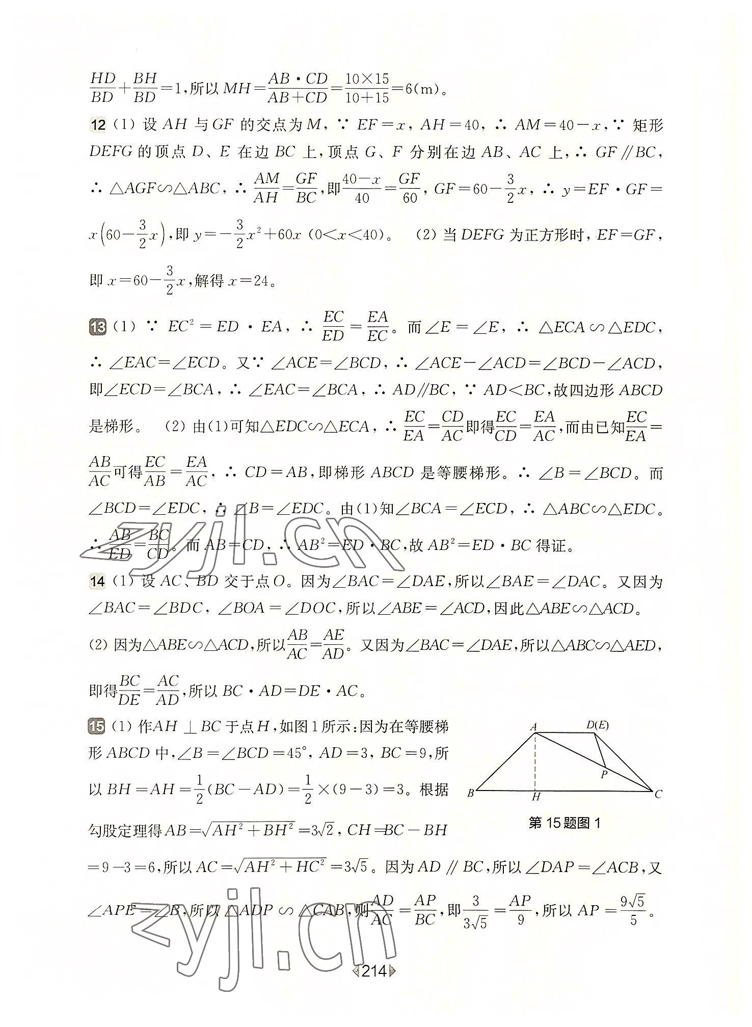 2022年华东师大版一课一练九年级数学全一册沪教版54制 参考答案第10页