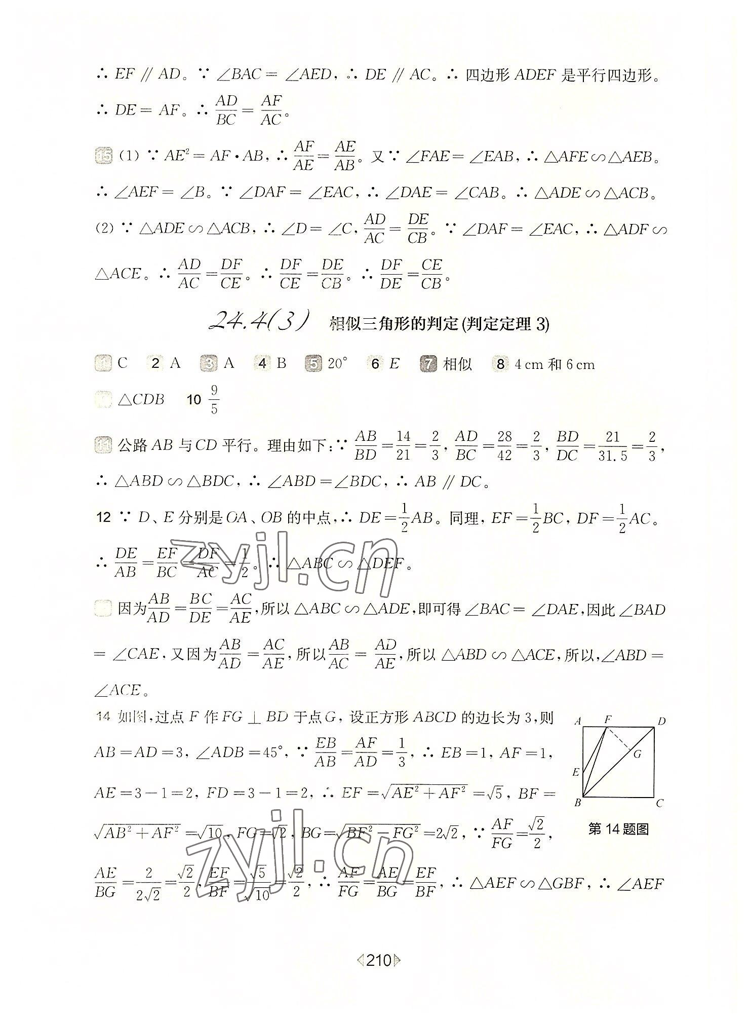 2022年华东师大版一课一练九年级数学全一册沪教版54制 参考答案第6页