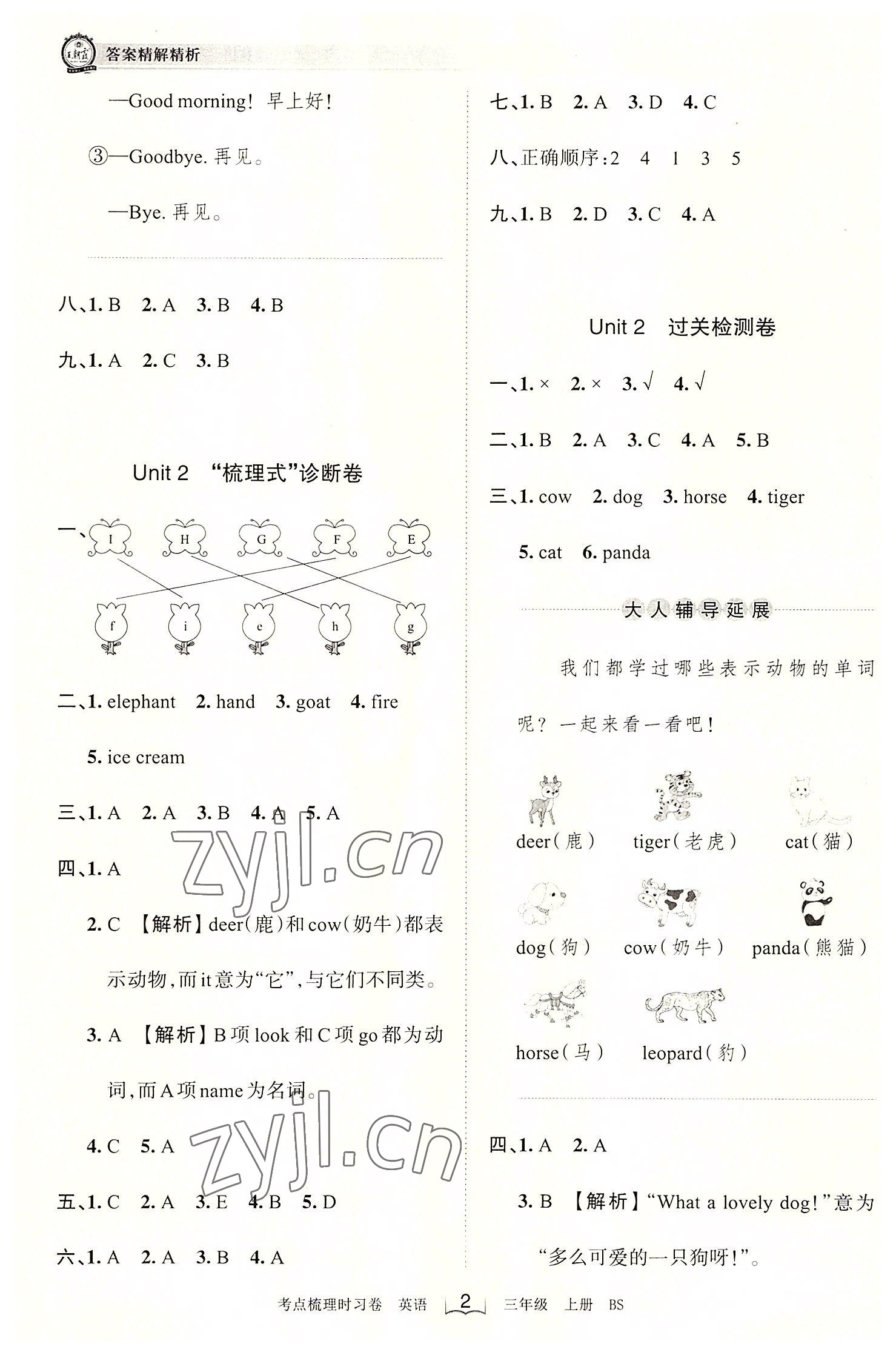 2022年王朝霞考点梳理时习卷三年级英语上册北师大版 第2页