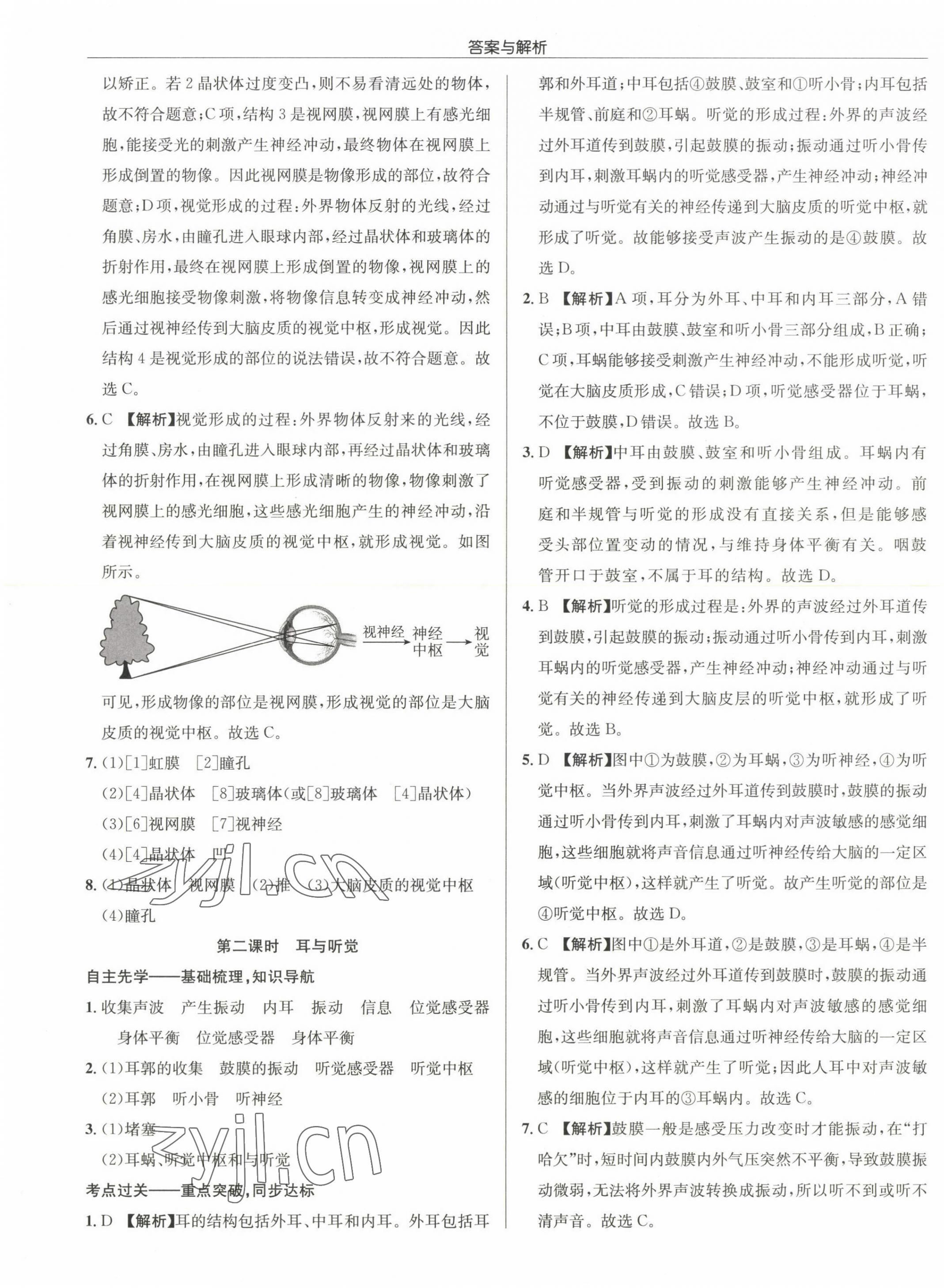 2022年启东中学作业本八年级生物全一册苏科版 第17页