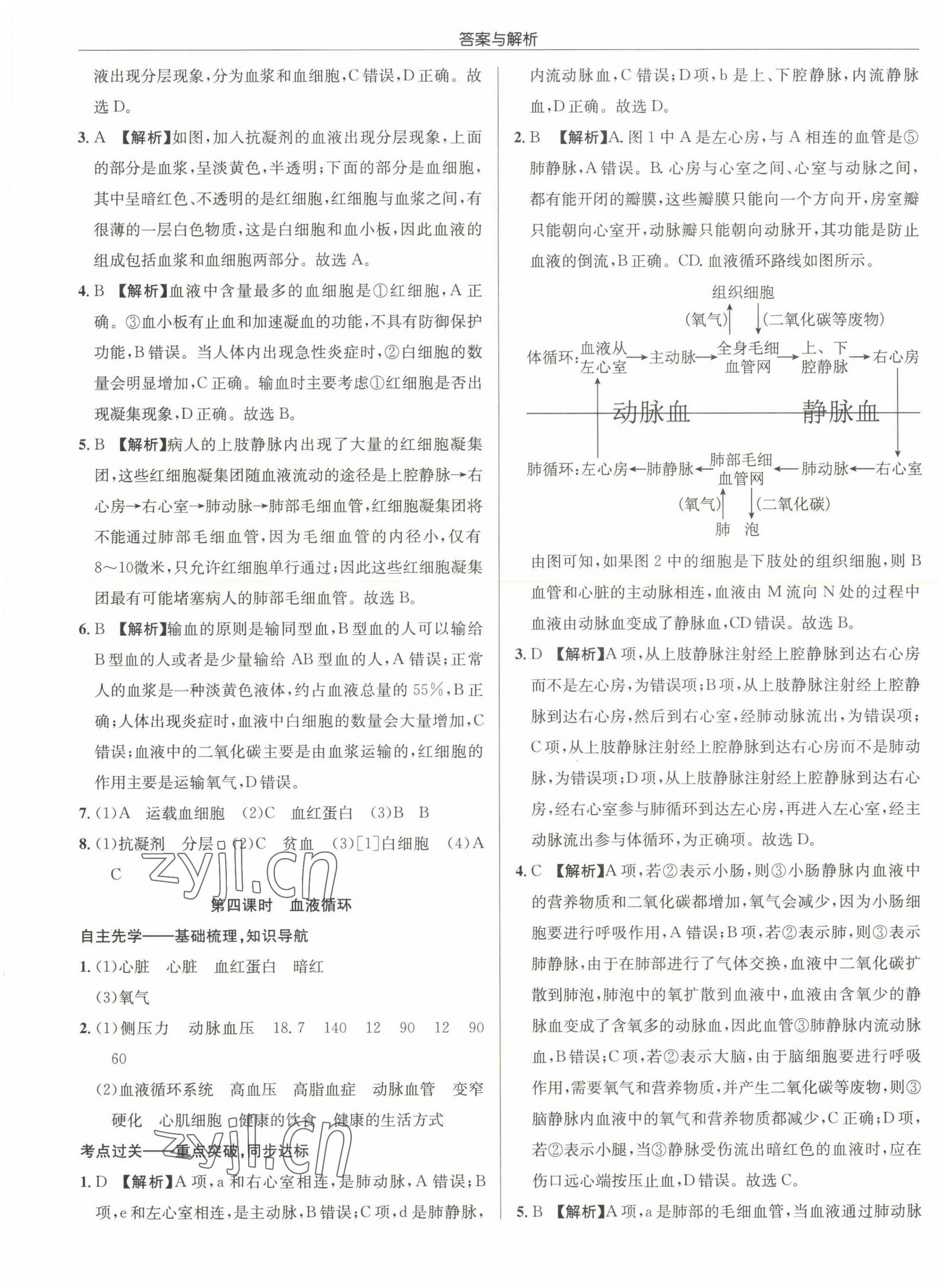 2022年启东中学作业本八年级生物全一册苏科版 第5页