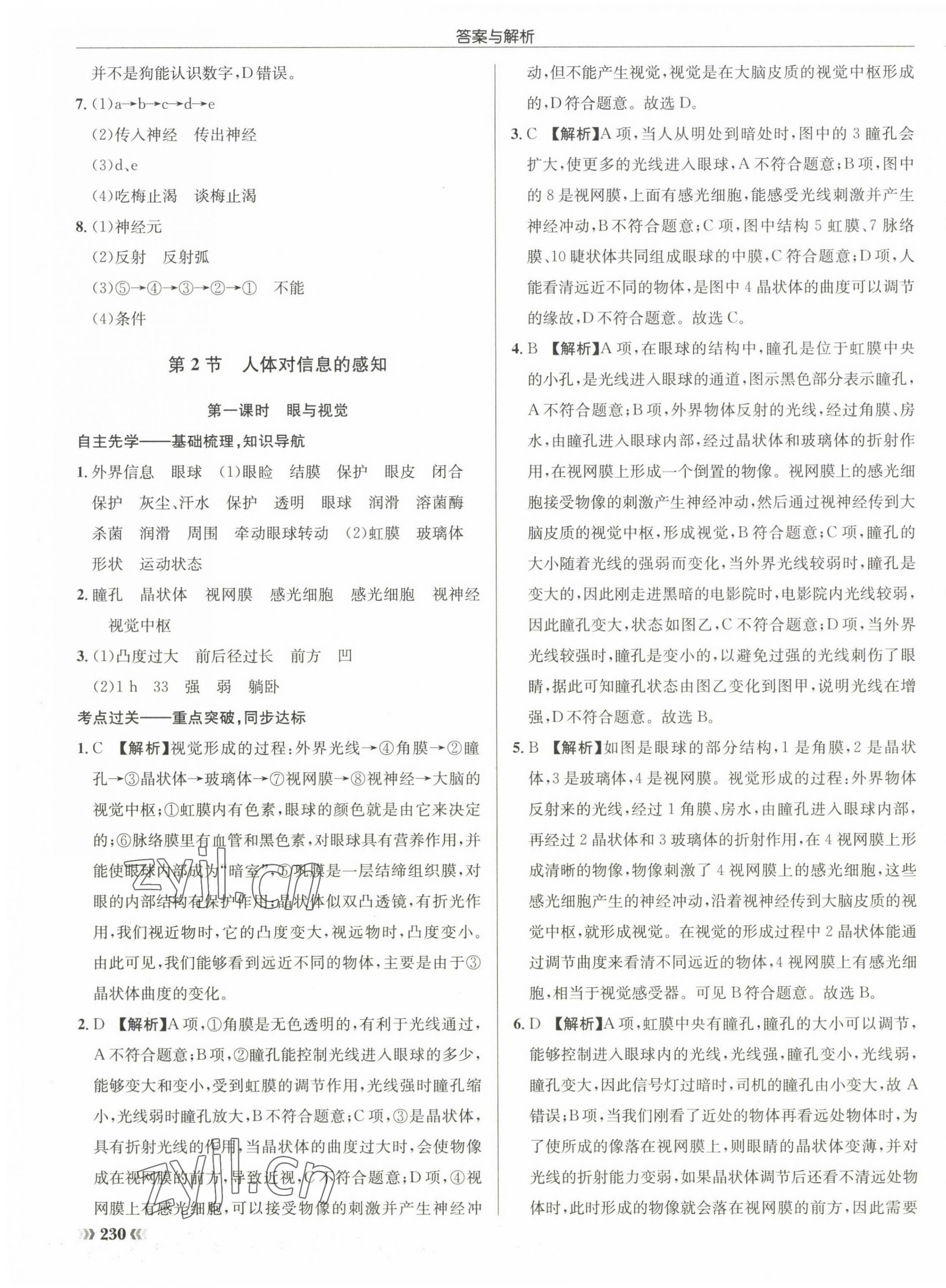 2022年启东中学作业本八年级生物全一册苏科版 第15页