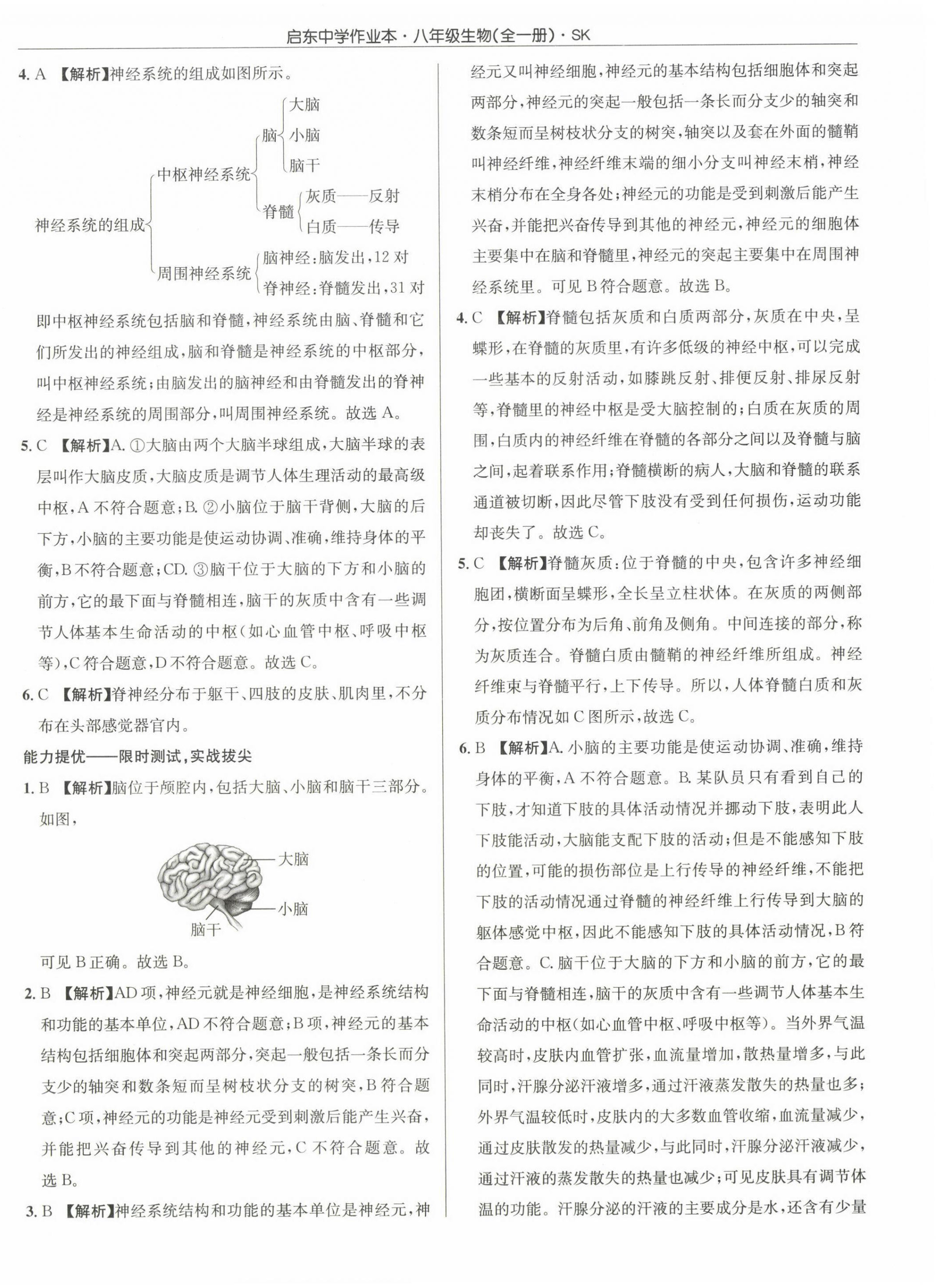 2022年启东中学作业本八年级生物全一册苏科版 第12页