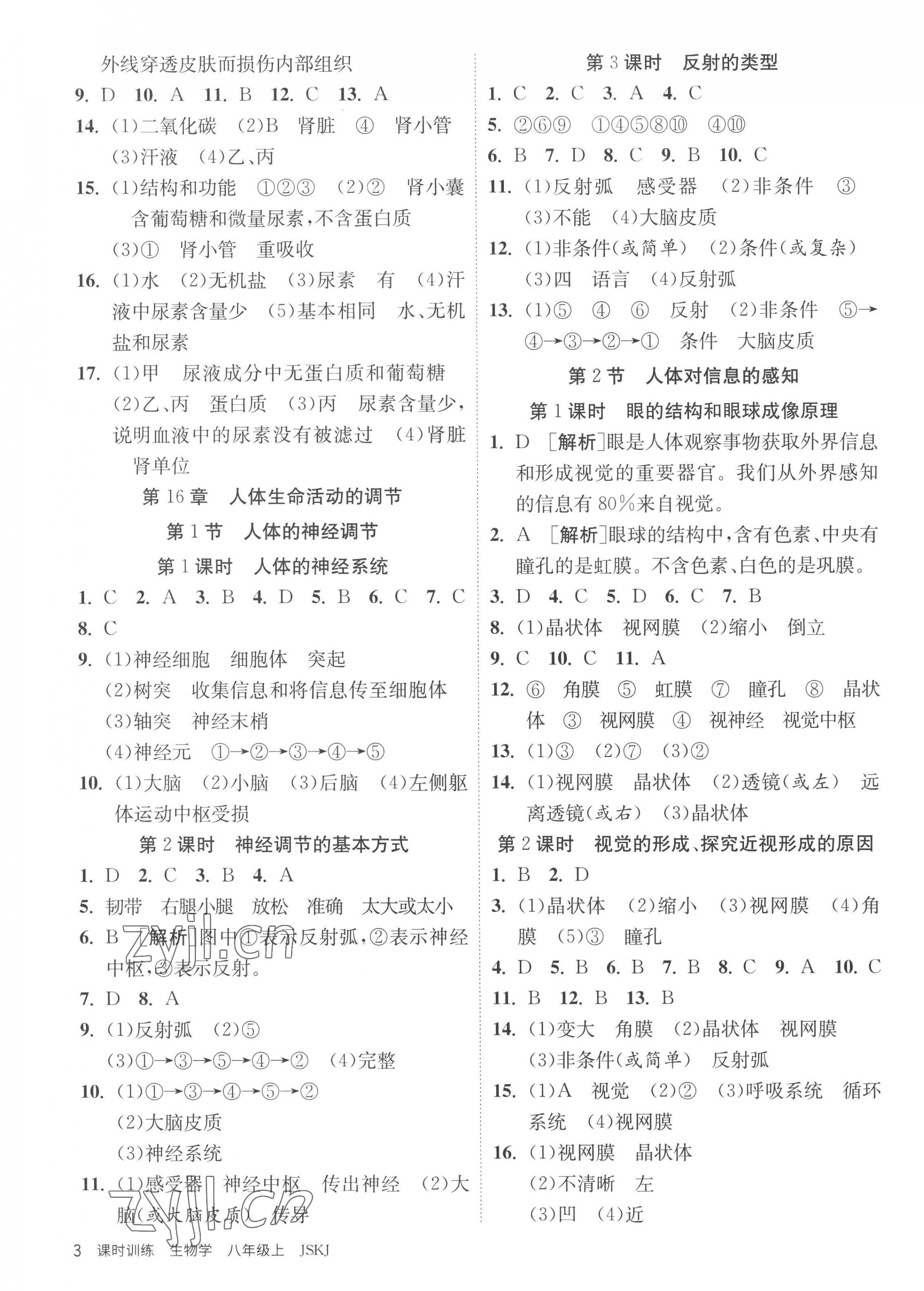 2022年课时训练江苏人民出版社八年级生物上册苏科版 第3页