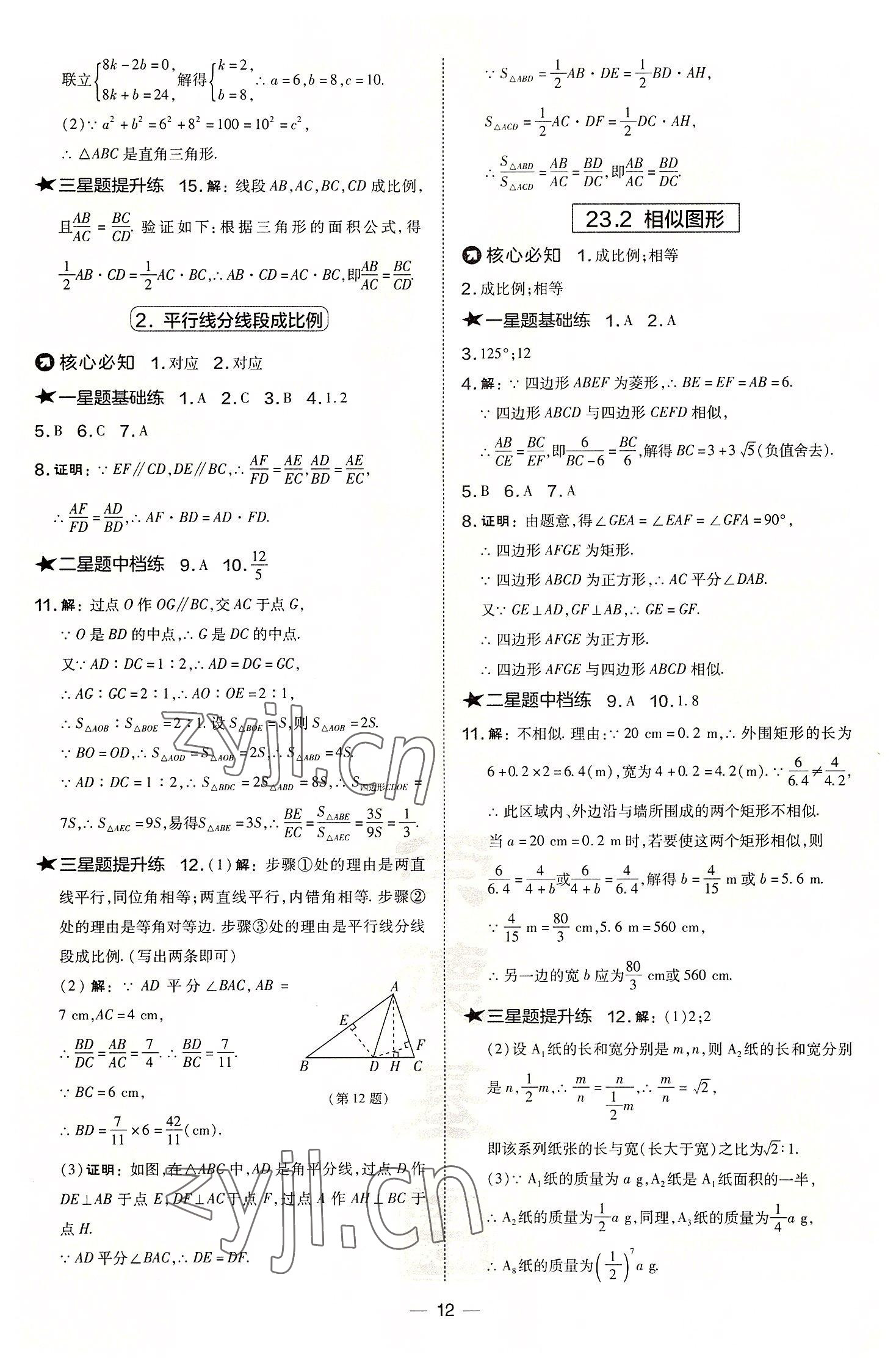 2022年點撥訓練九年級數學上冊華師大版 參考答案第12頁