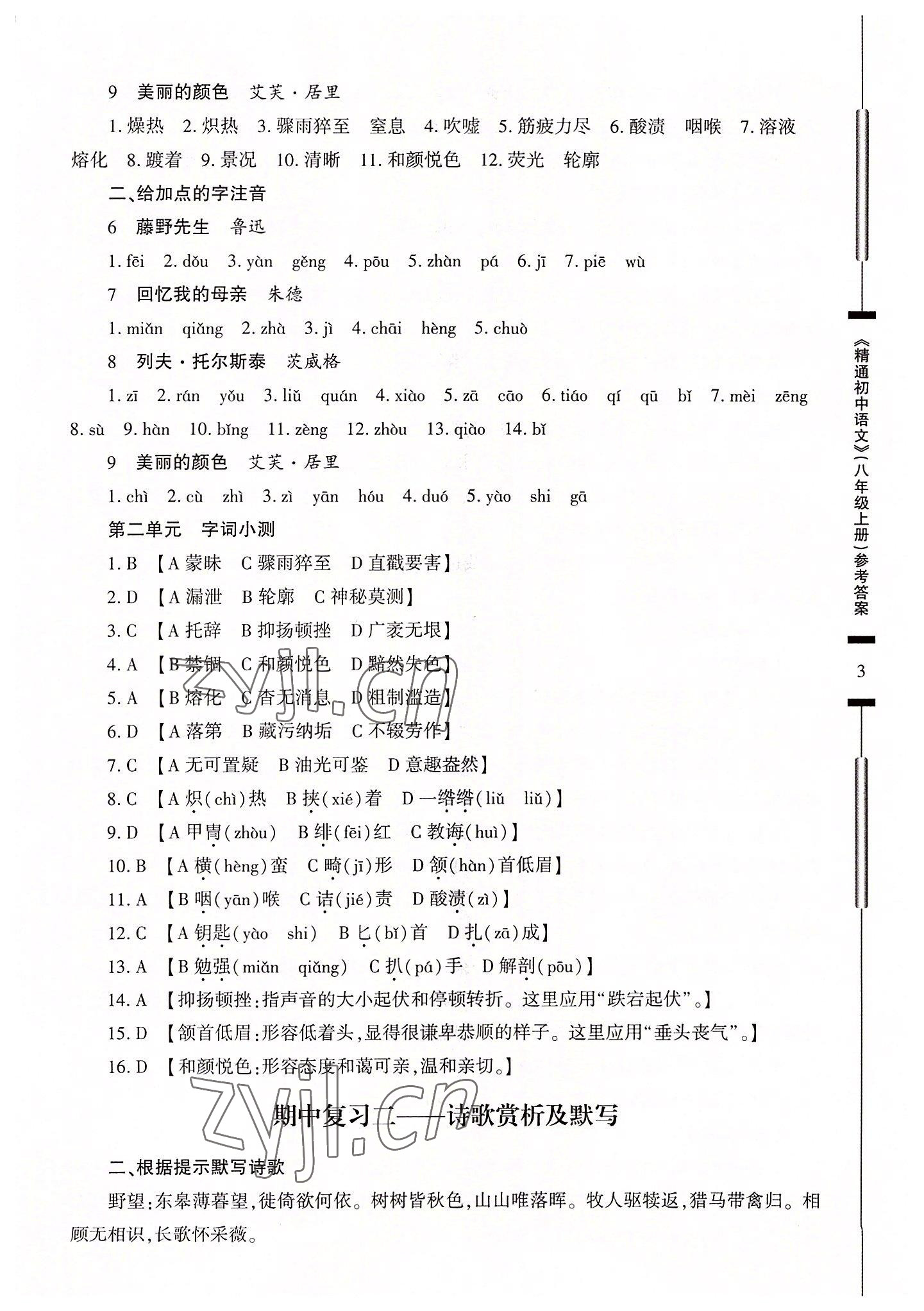 2022年精通初中语文八年级上册人教版 参考答案第3页