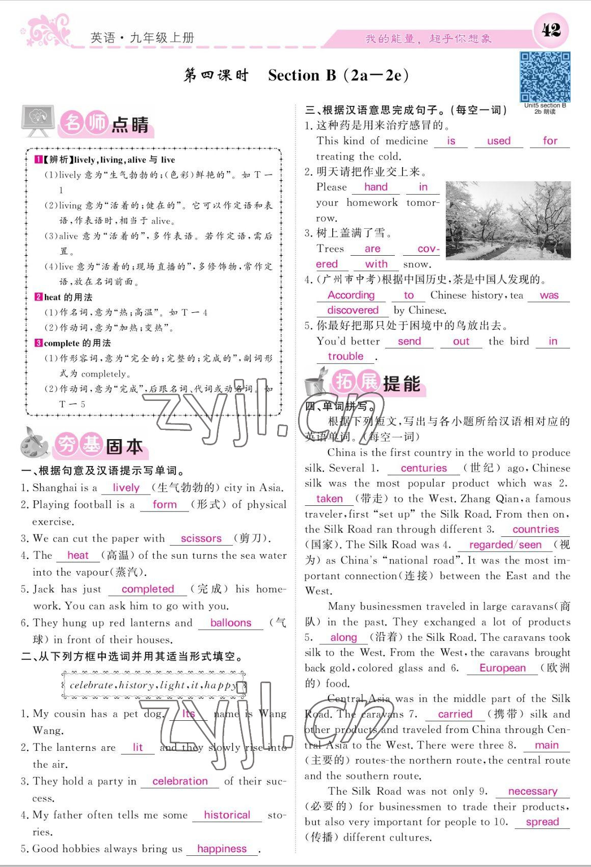 2022年課堂點(diǎn)睛九年級英語上冊人教版寧夏專版 參考答案第42頁