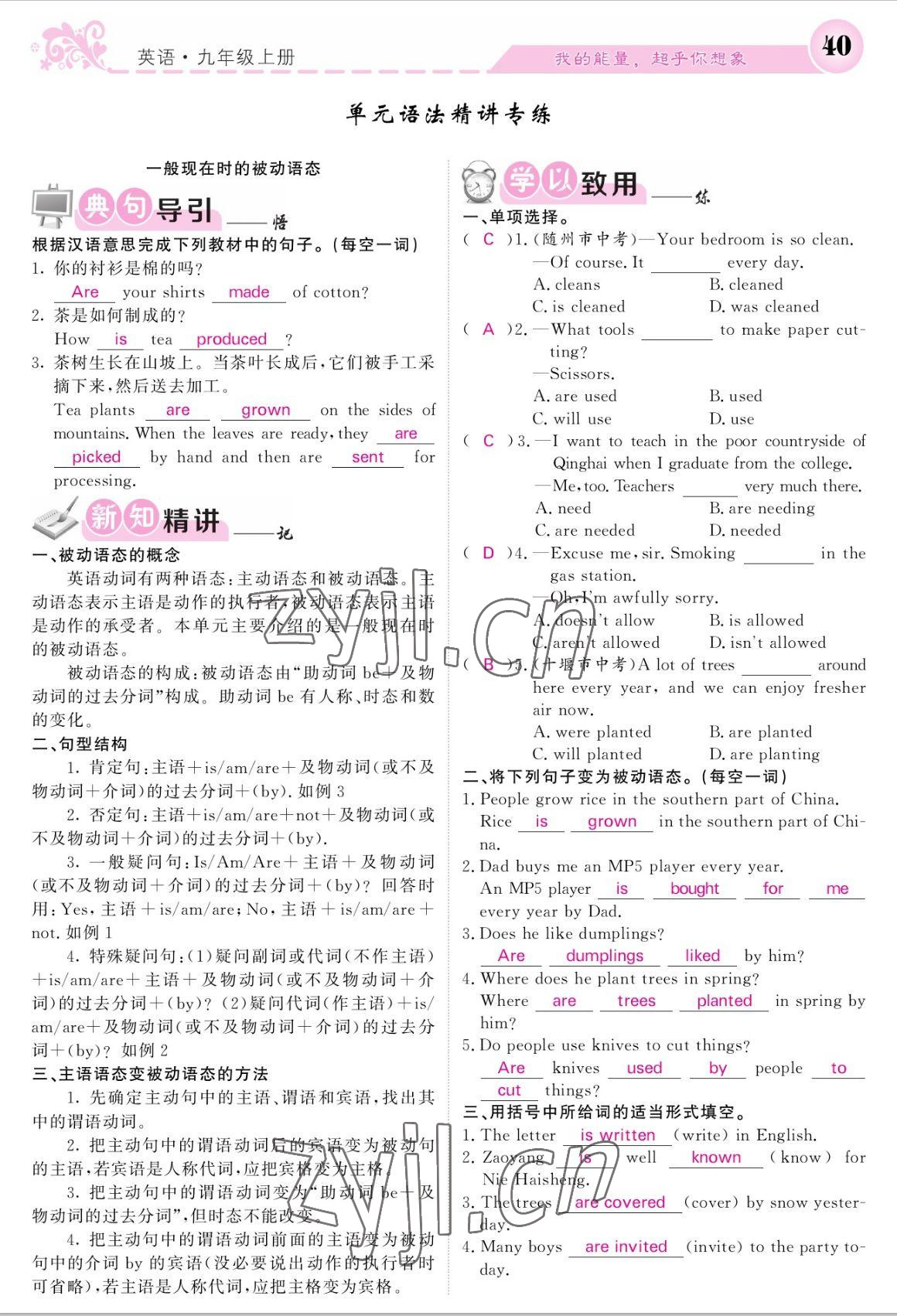 2022年課堂點睛九年級英語上冊人教版寧夏專版 參考答案第40頁