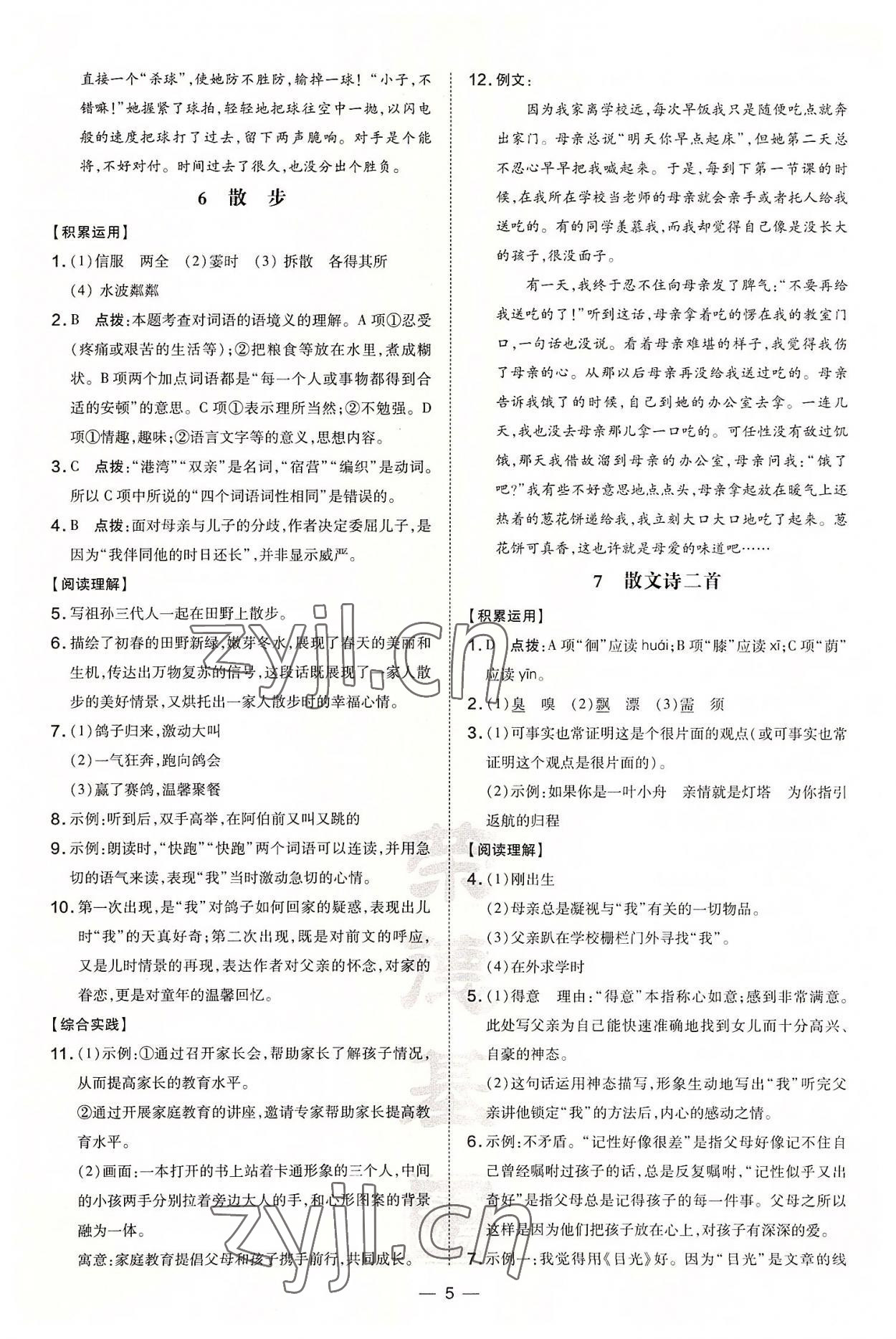 2022年點(diǎn)撥訓(xùn)練七年級(jí)語(yǔ)文上冊(cè)人教版 第5頁(yè)