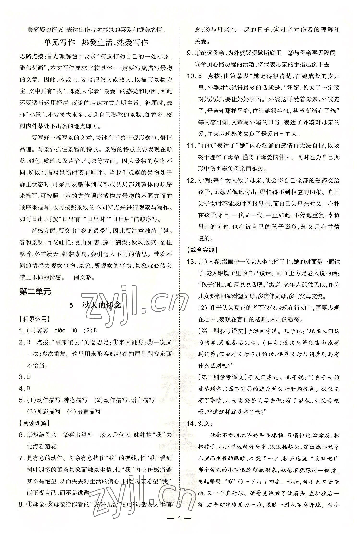 2022年點撥訓練七年級語文上冊人教版 第4頁