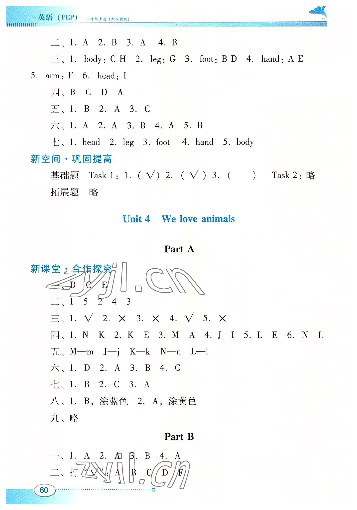 2022年南方新課堂金牌學(xué)案三年級英語上冊人教版 第4頁