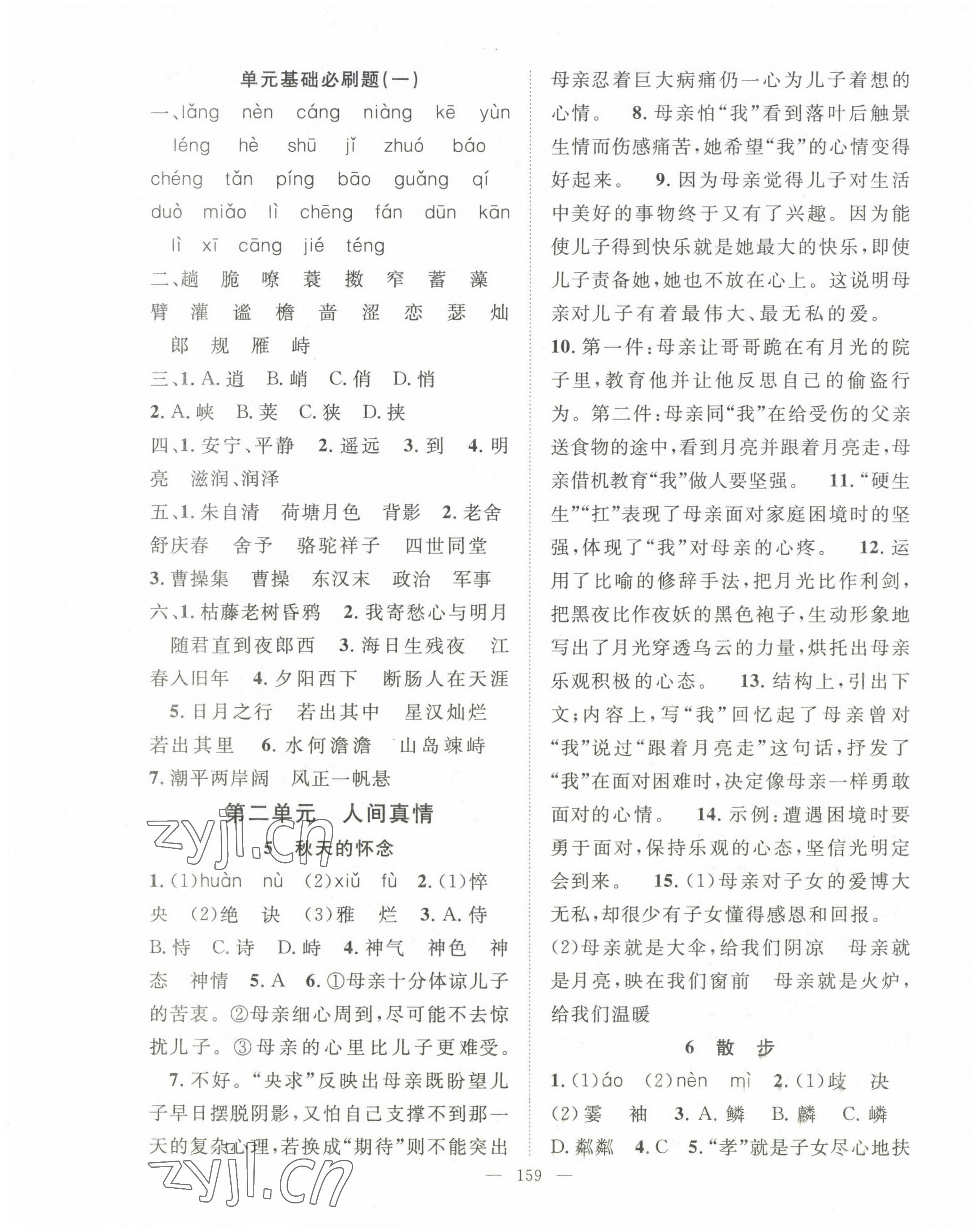 2022年名师学案七年级语文上册人教版荆州专版 第3页