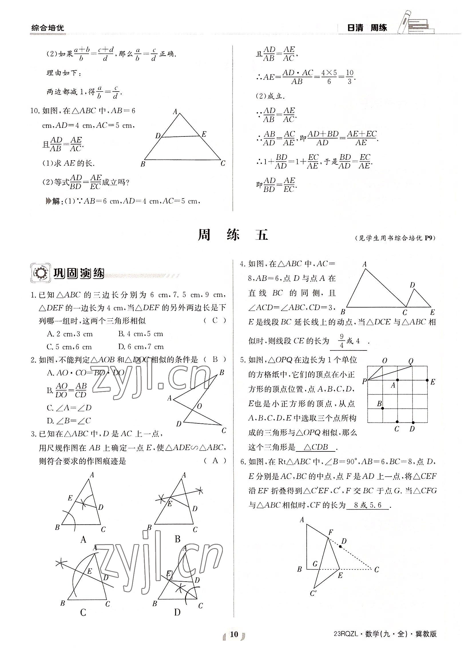 2022年日清周练九年级数学全一册冀教版 参考答案第10页