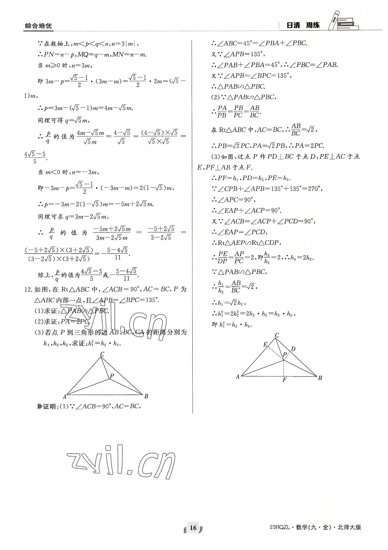 2022年日清周练九年级数学全一册北师大版 参考答案第16页