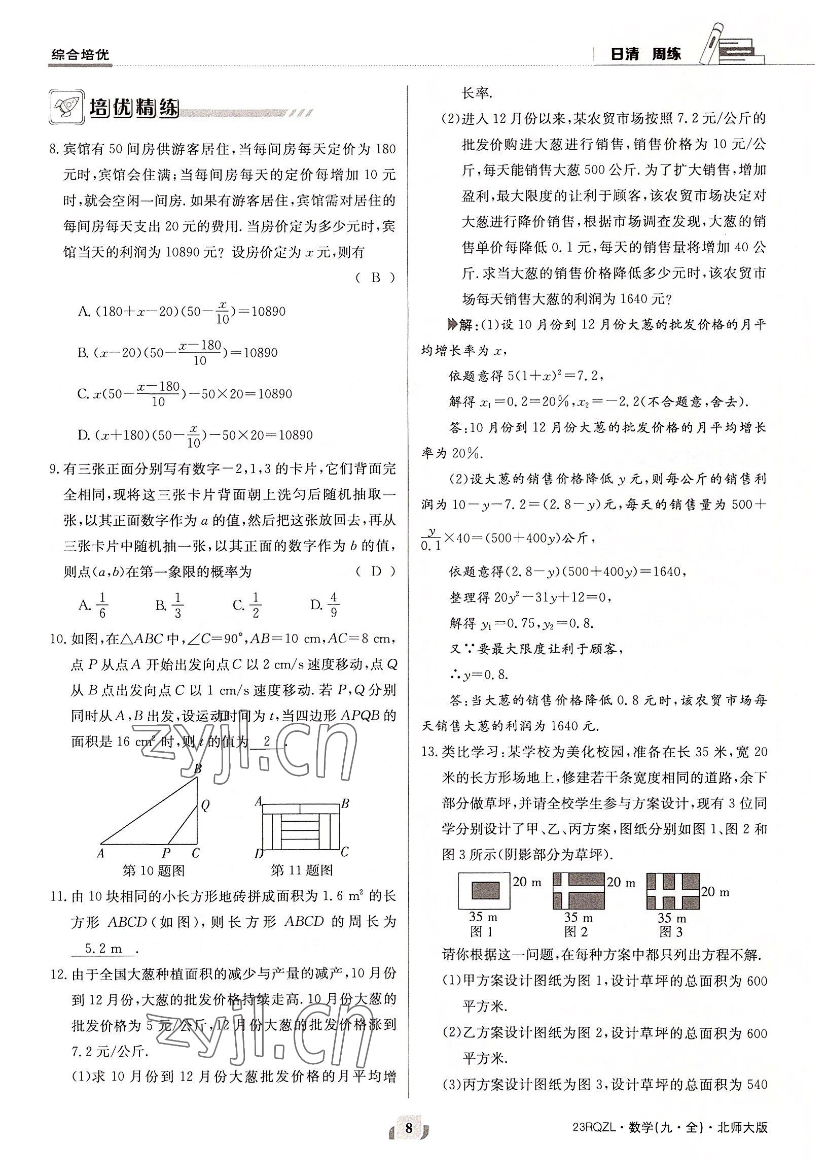 2022年日清周练九年级数学全一册北师大版 参考答案第8页