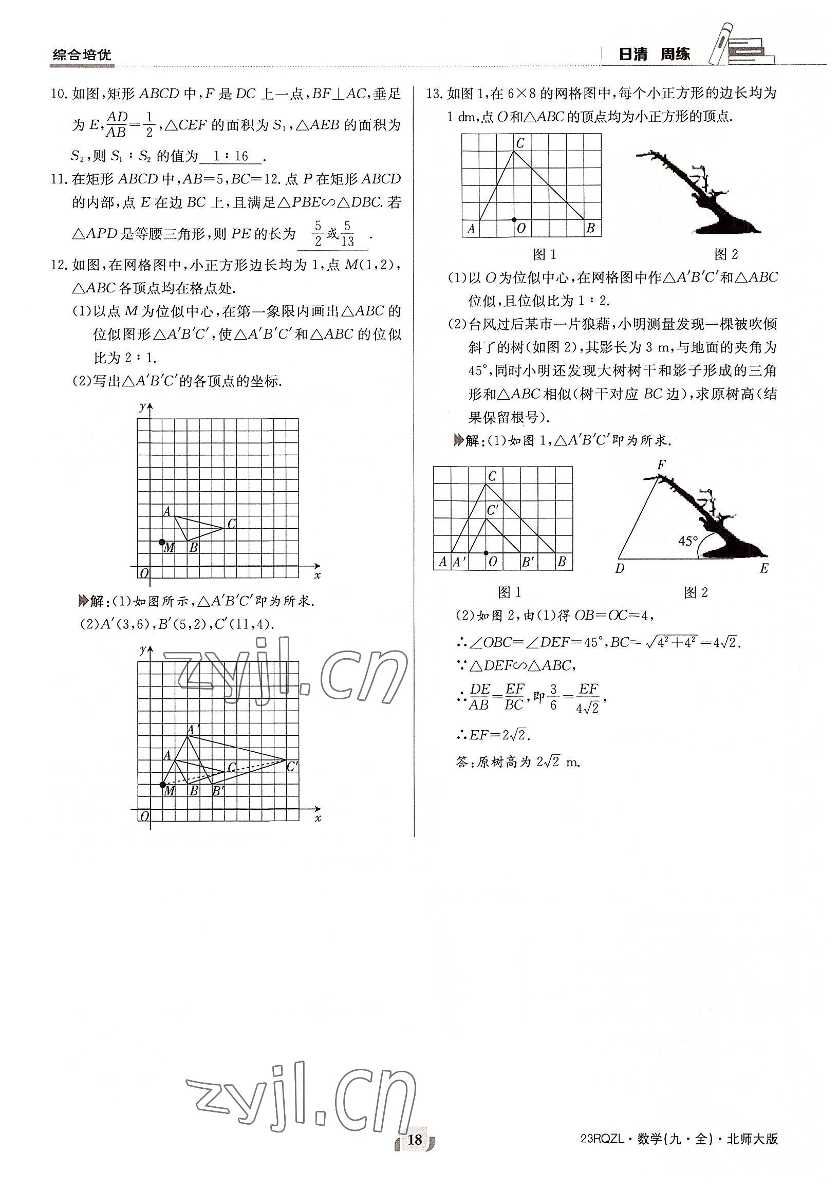 2022年日清周练九年级数学全一册北师大版 参考答案第18页