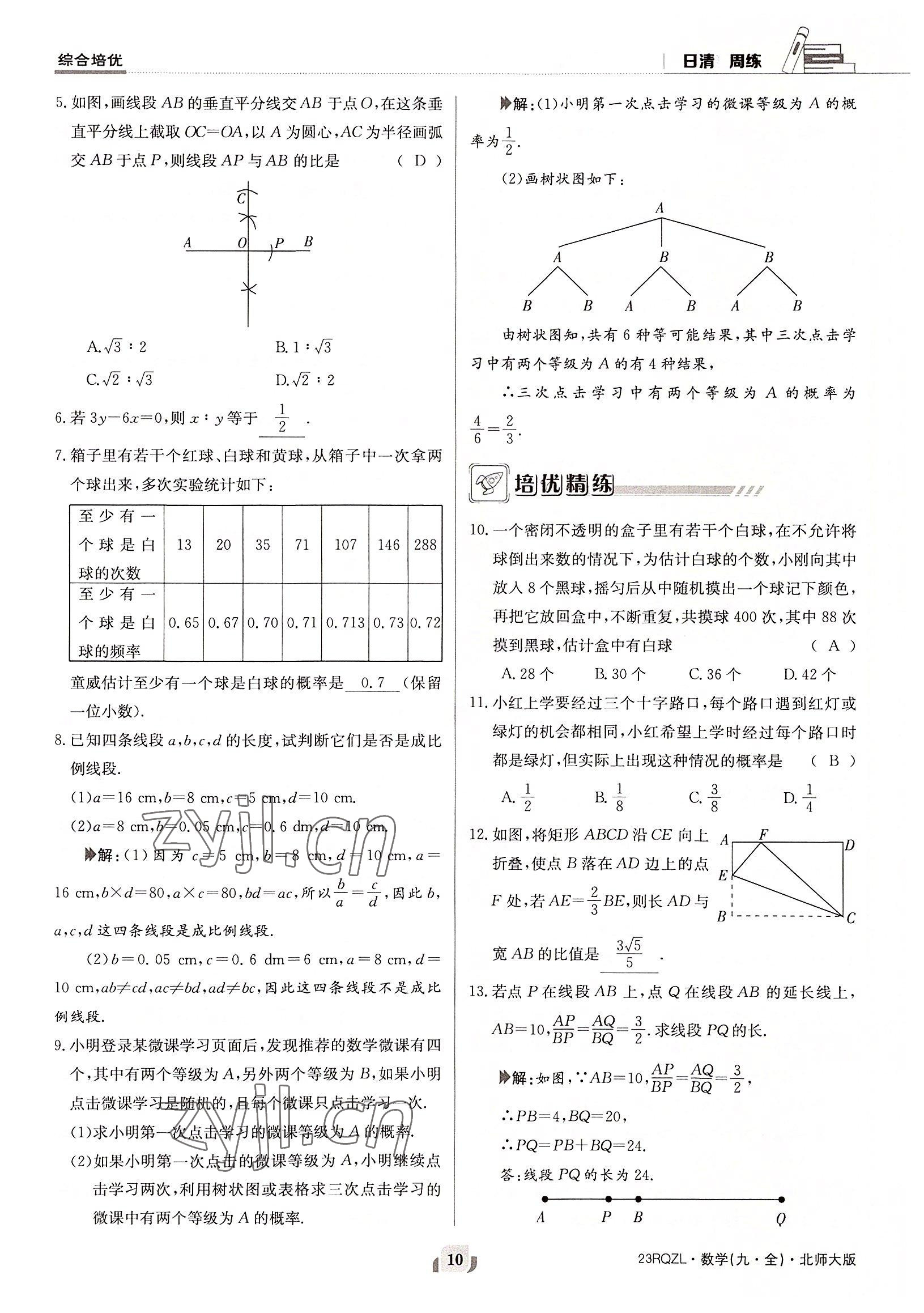 2022年日清周练九年级数学全一册北师大版 参考答案第10页