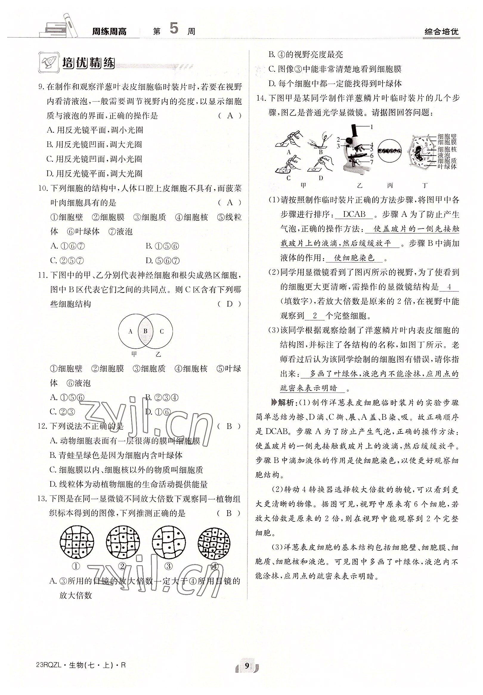 2022年日清周練七年級生物上冊人教版 參考答案第9頁