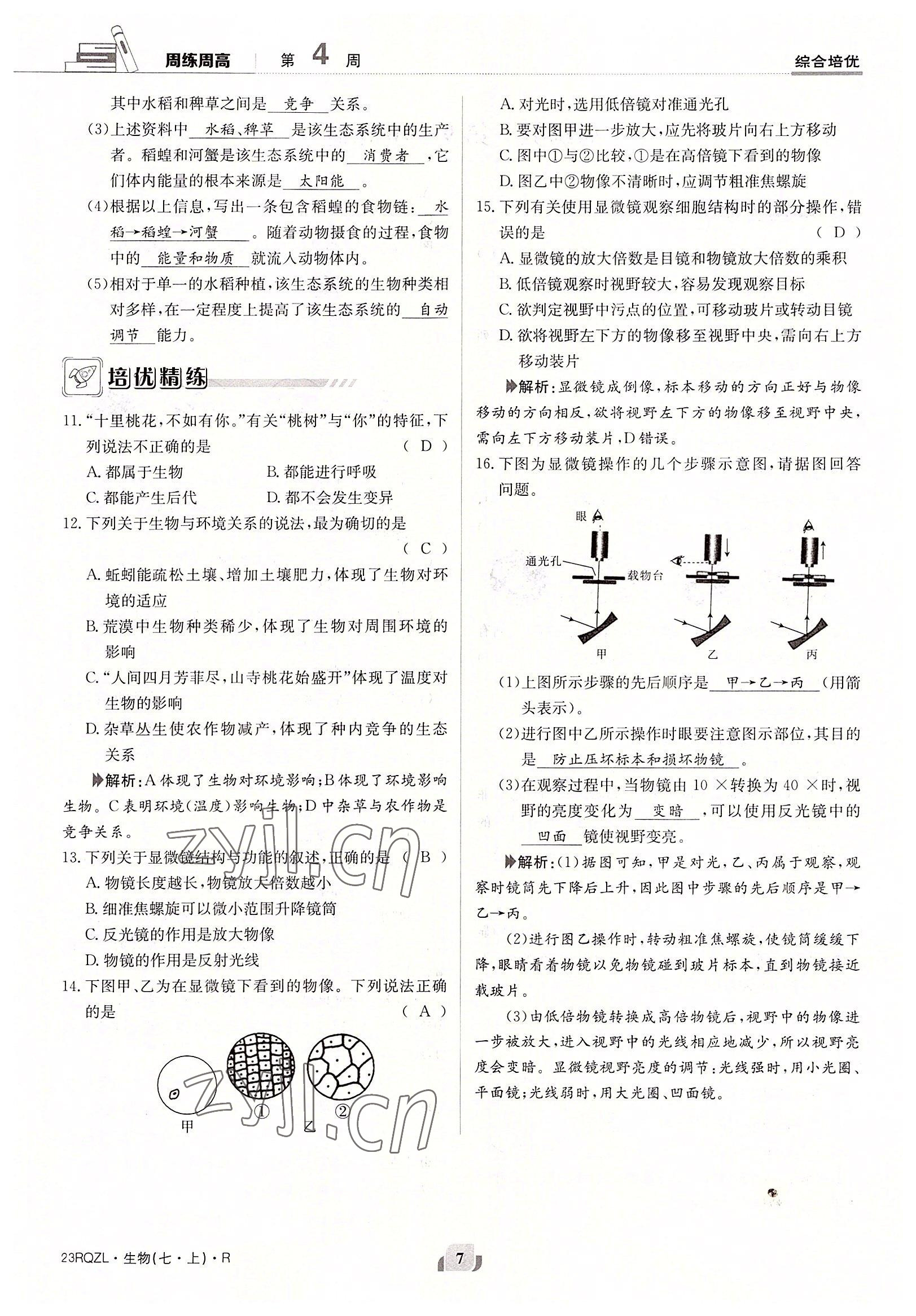 2022年日清周練七年級(jí)生物上冊(cè)人教版 參考答案第7頁