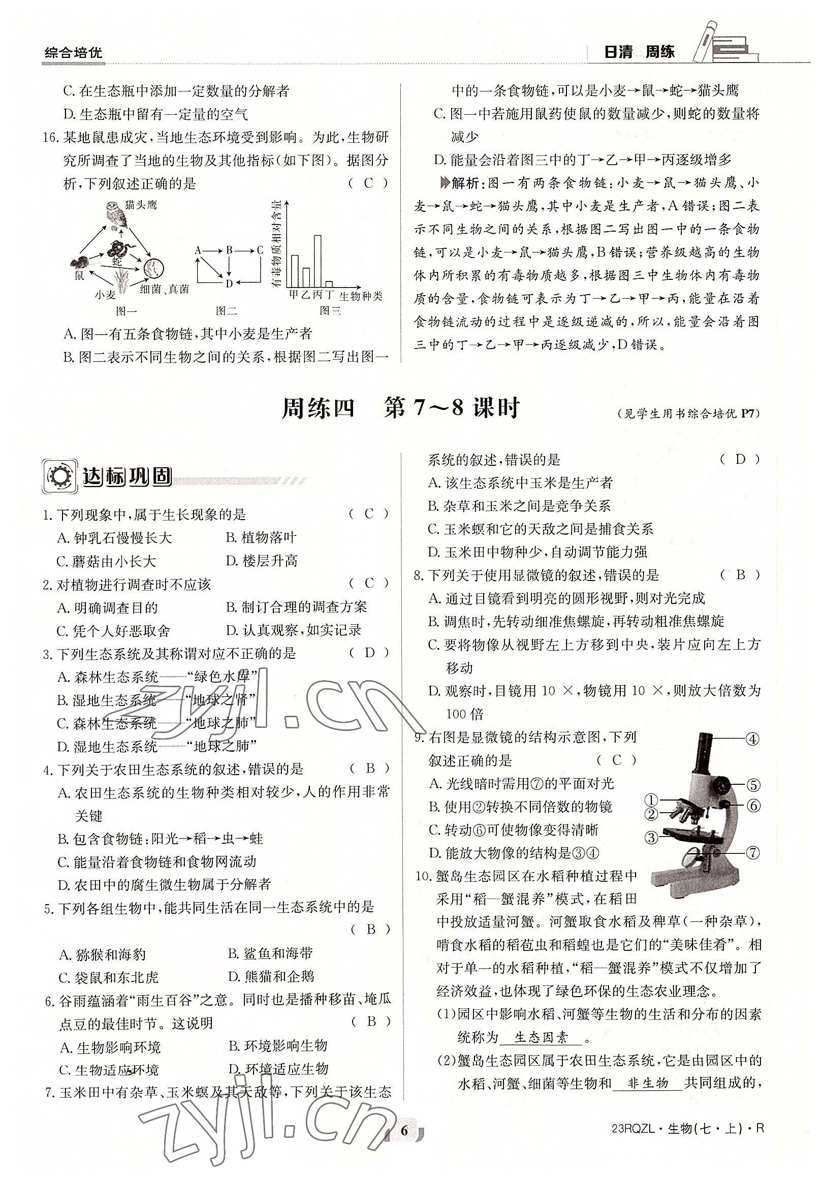 2022年日清周練七年級(jí)生物上冊(cè)人教版 參考答案第6頁(yè)