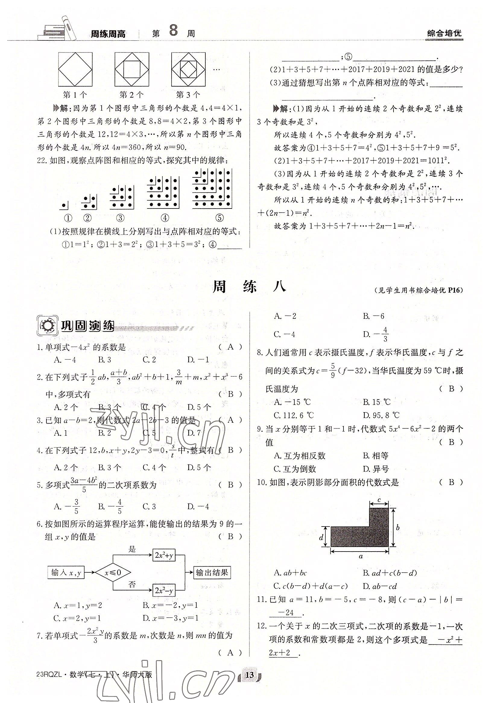 2022年日清周練七年級數(shù)學(xué)上冊華師大版 參考答案第13頁