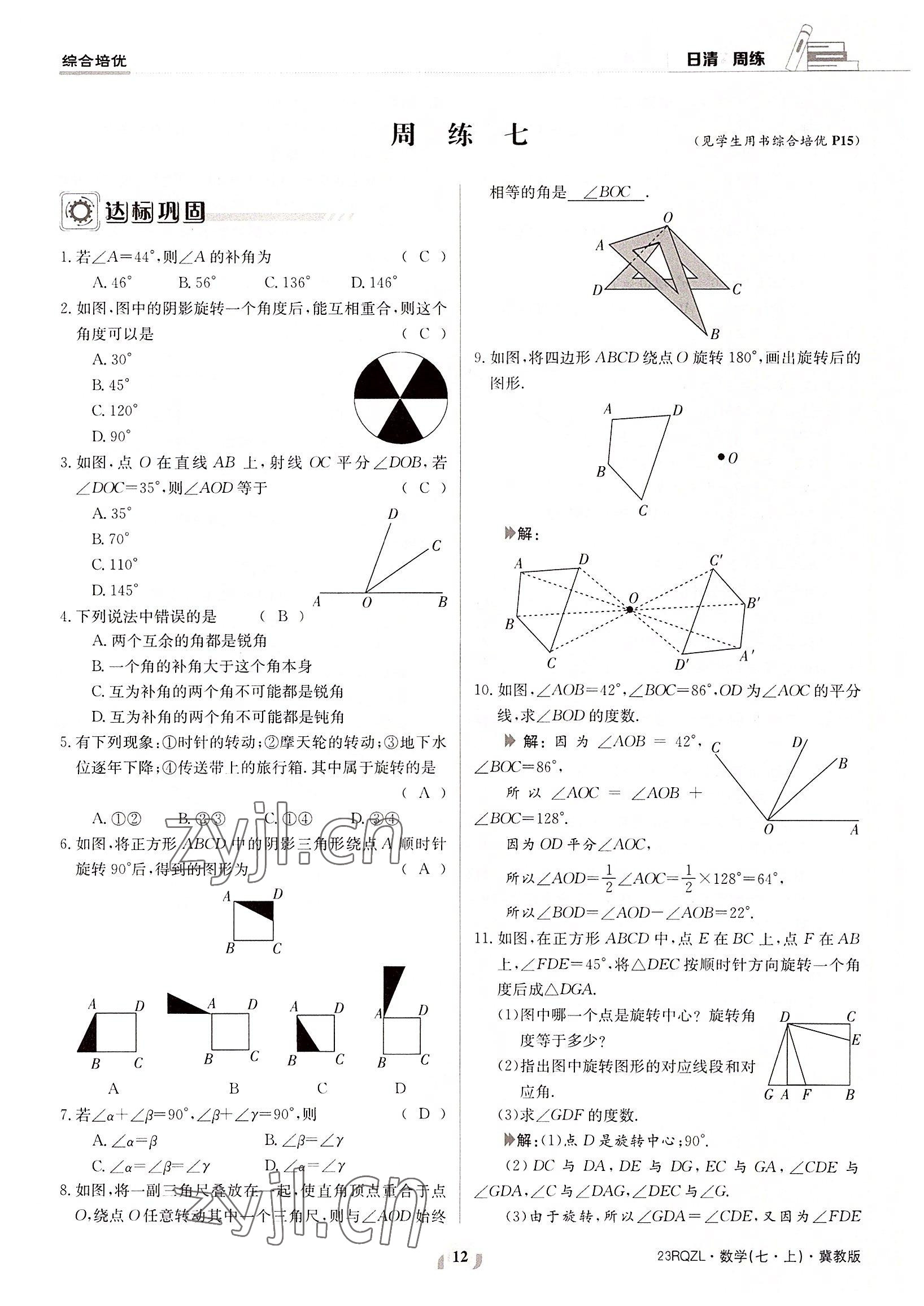 2022年日清周練七年級(jí)數(shù)學(xué)上冊(cè)冀教版 參考答案第12頁