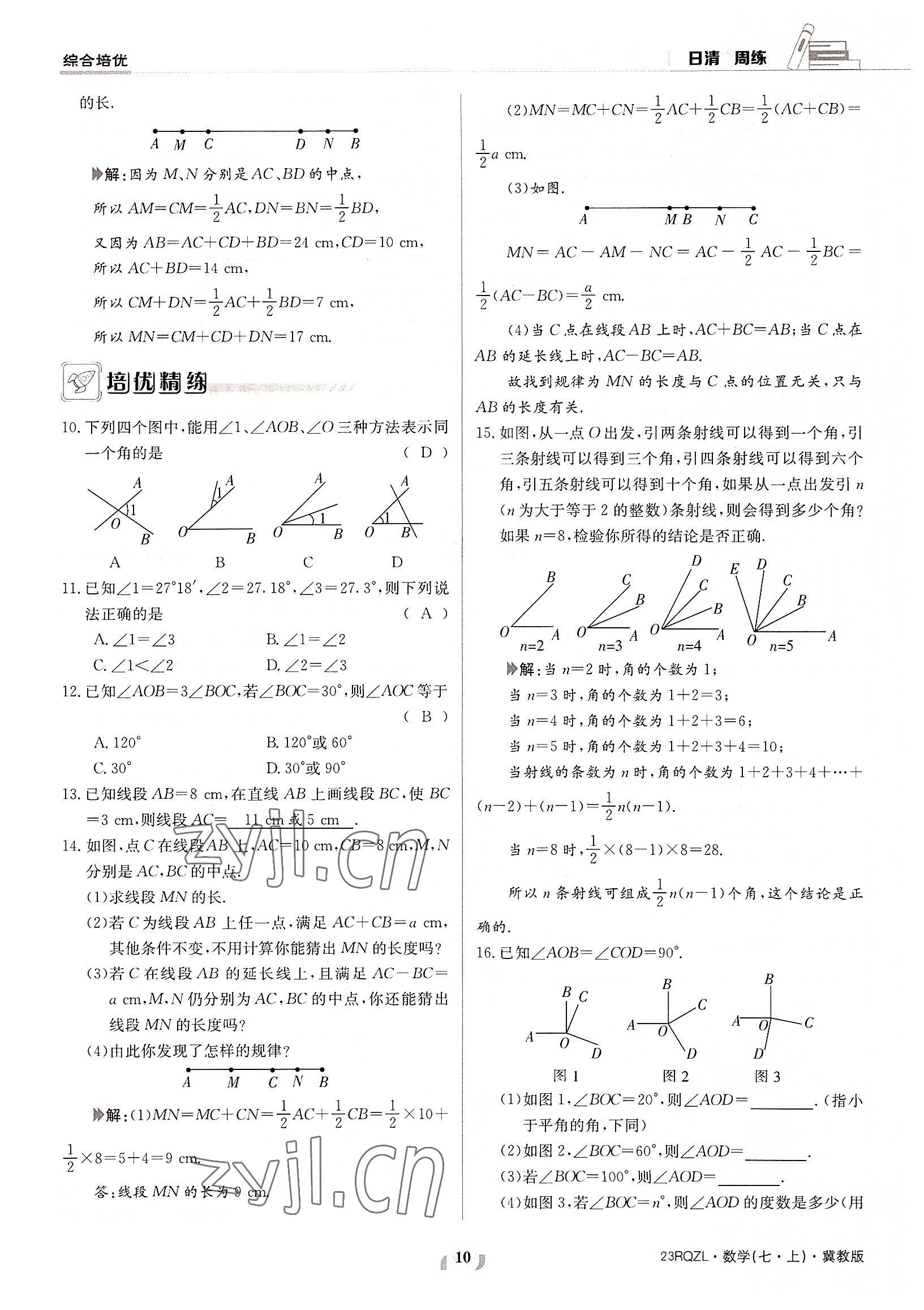 2022年日清周練七年級數(shù)學(xué)上冊冀教版 參考答案第10頁