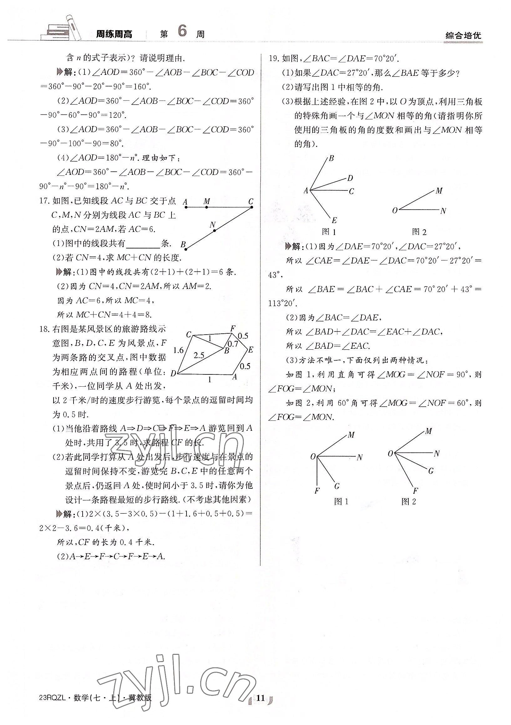 2022年日清周練七年級(jí)數(shù)學(xué)上冊(cè)冀教版 參考答案第11頁(yè)