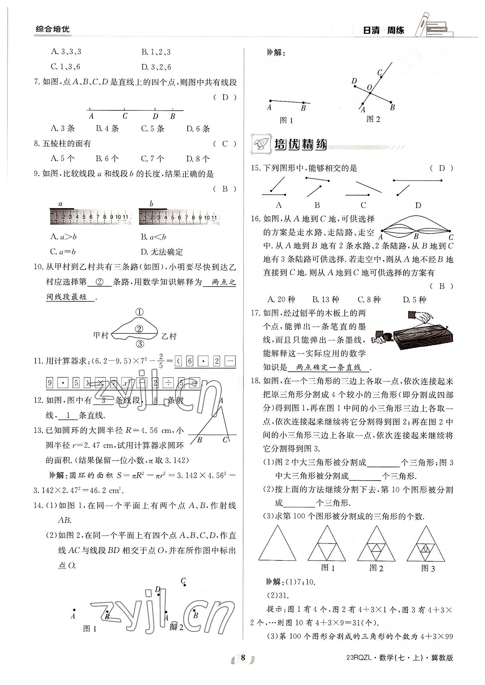 2022年日清周練七年級(jí)數(shù)學(xué)上冊(cè)冀教版 參考答案第8頁(yè)