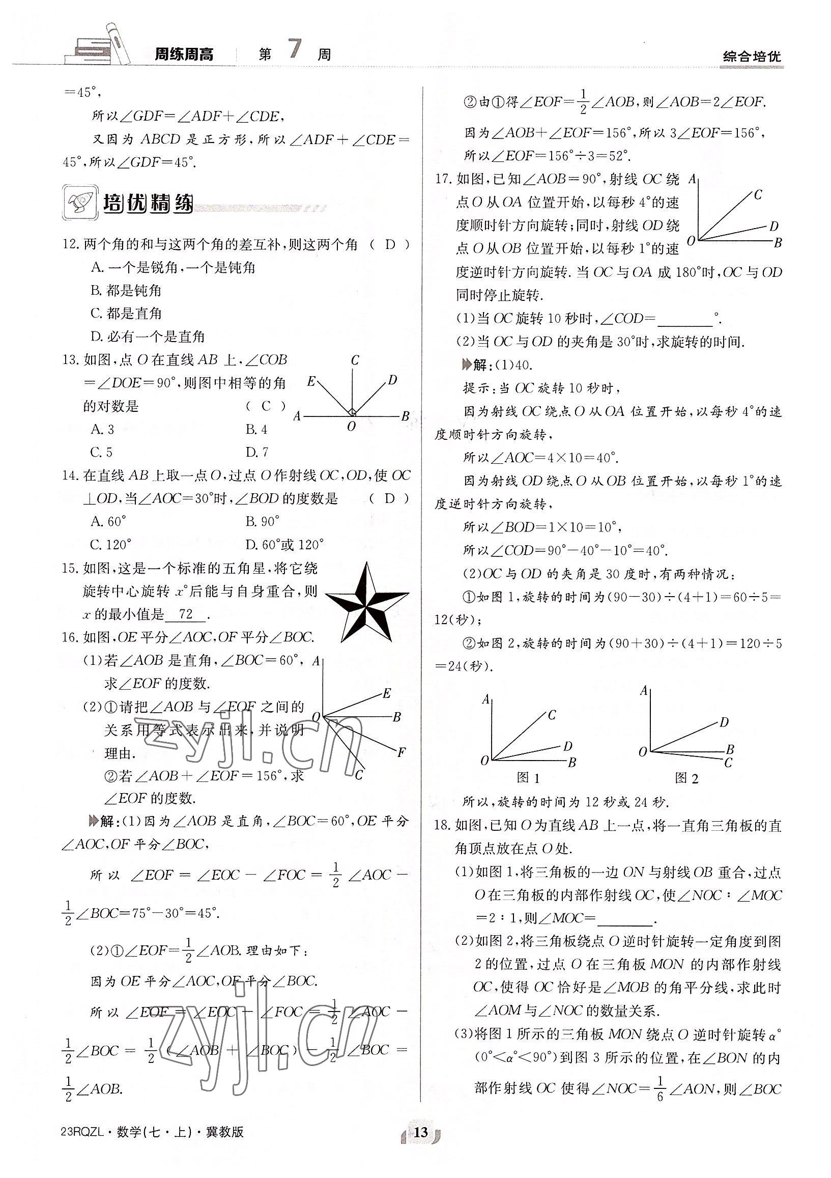 2022年日清周練七年級數學上冊冀教版 參考答案第13頁