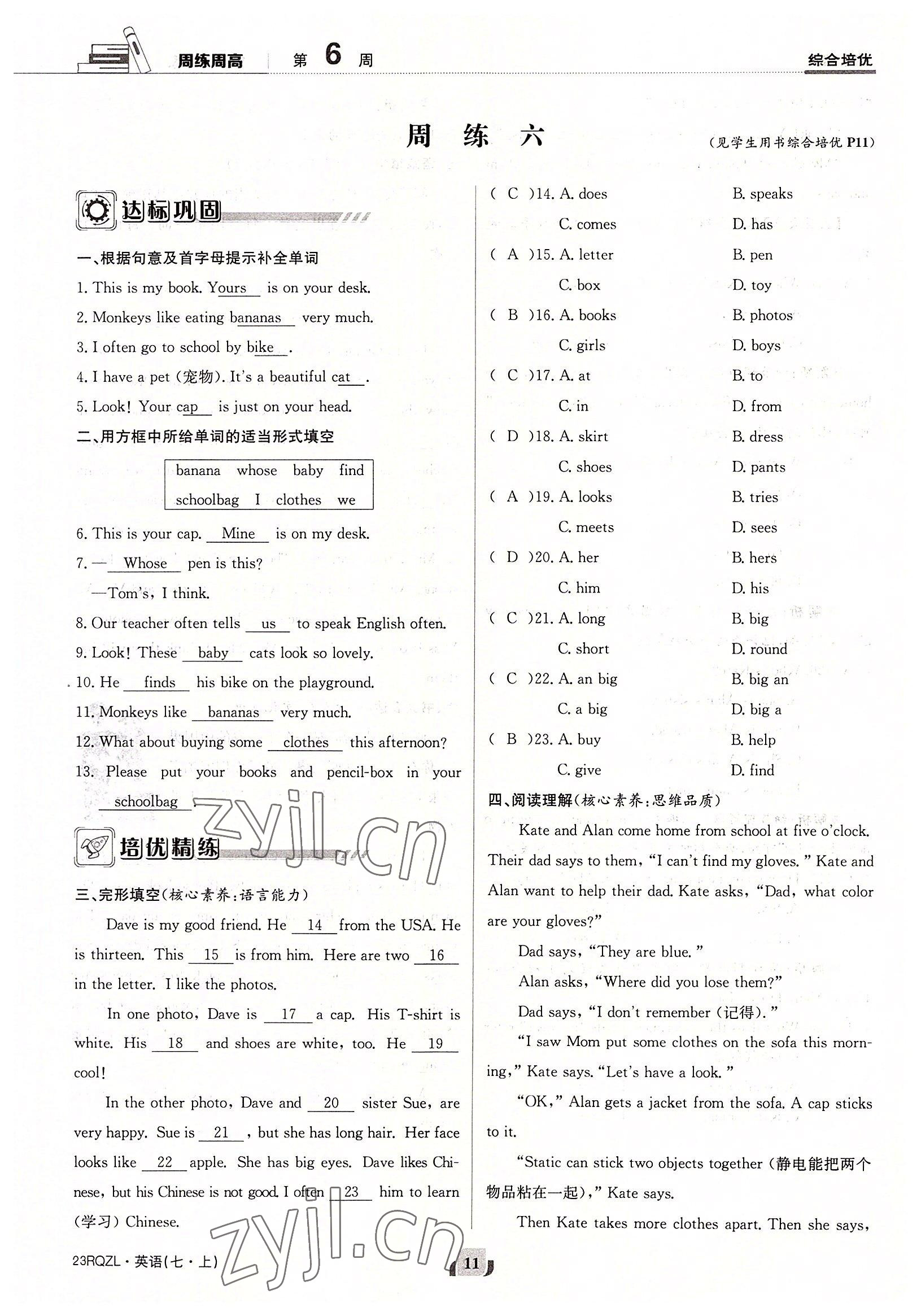 2022年日清周練七年級英語上冊仁愛版 參考答案第11頁