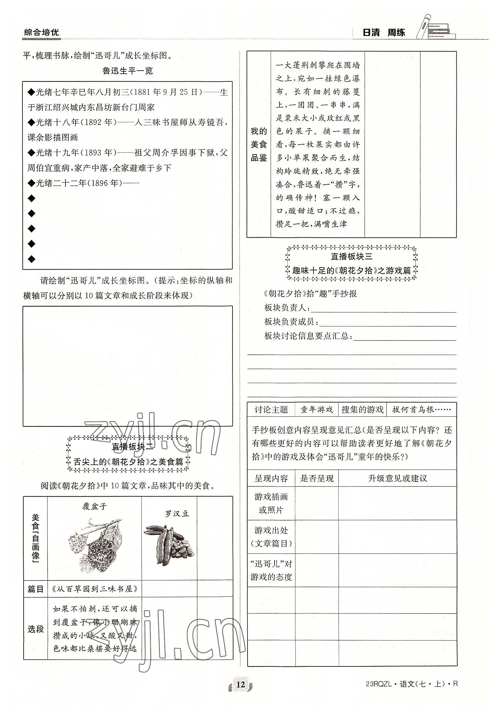 2022年日清周练七年级语文上册人教版 参考答案第12页