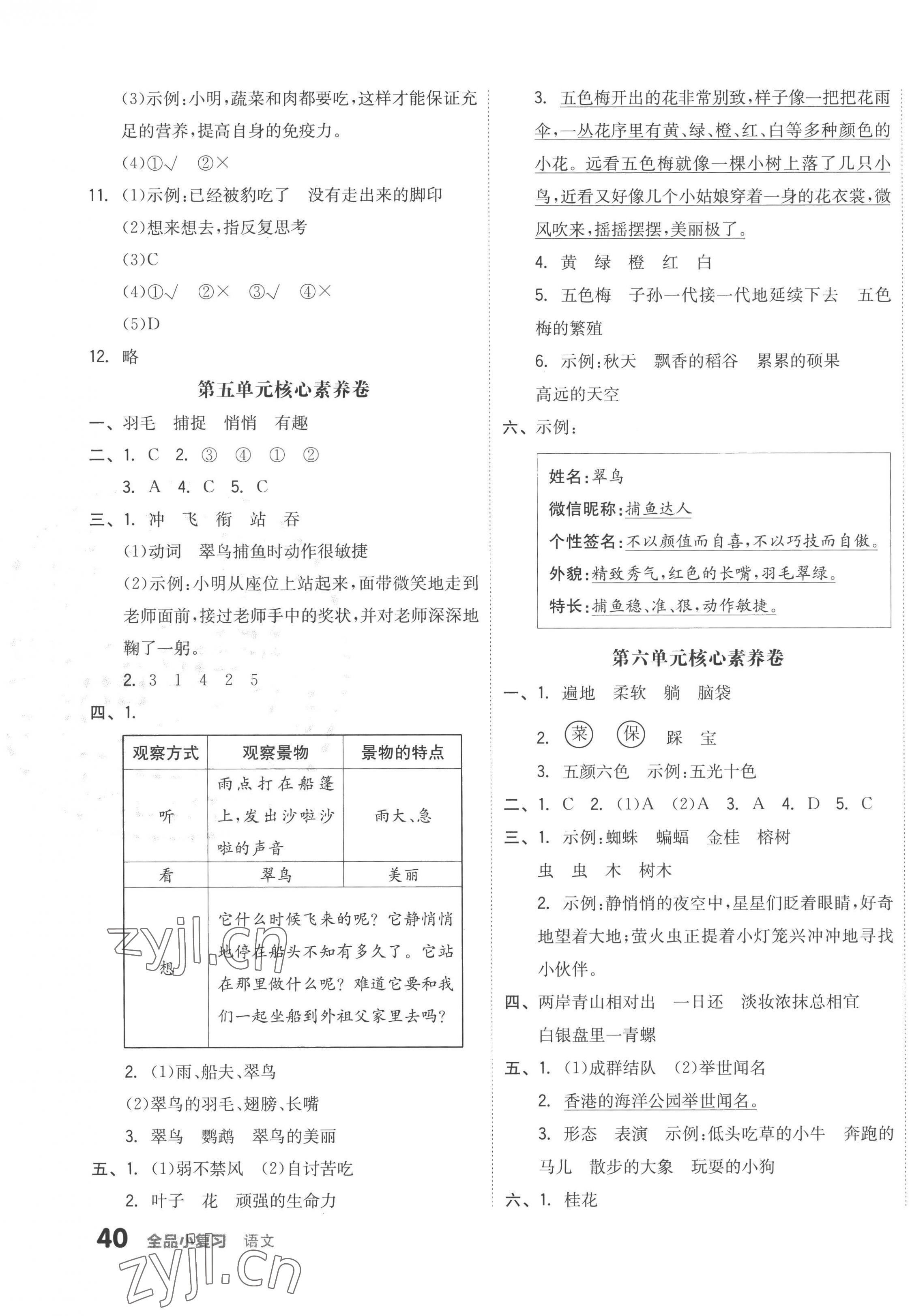 2022年全品小復習三年級語文上冊人教版 第3頁